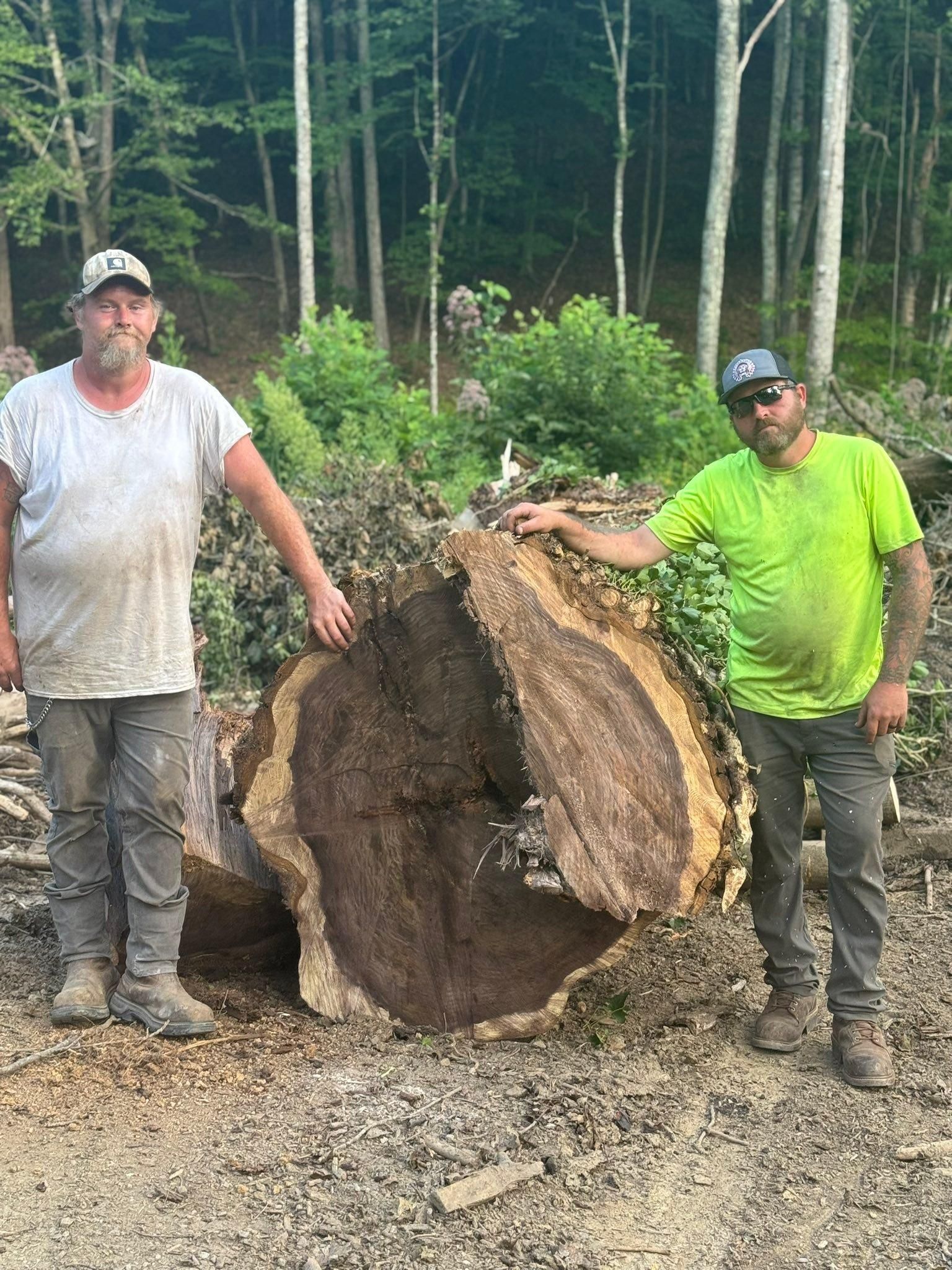  for Brocks Tree Service LLC in Rogersville, TN