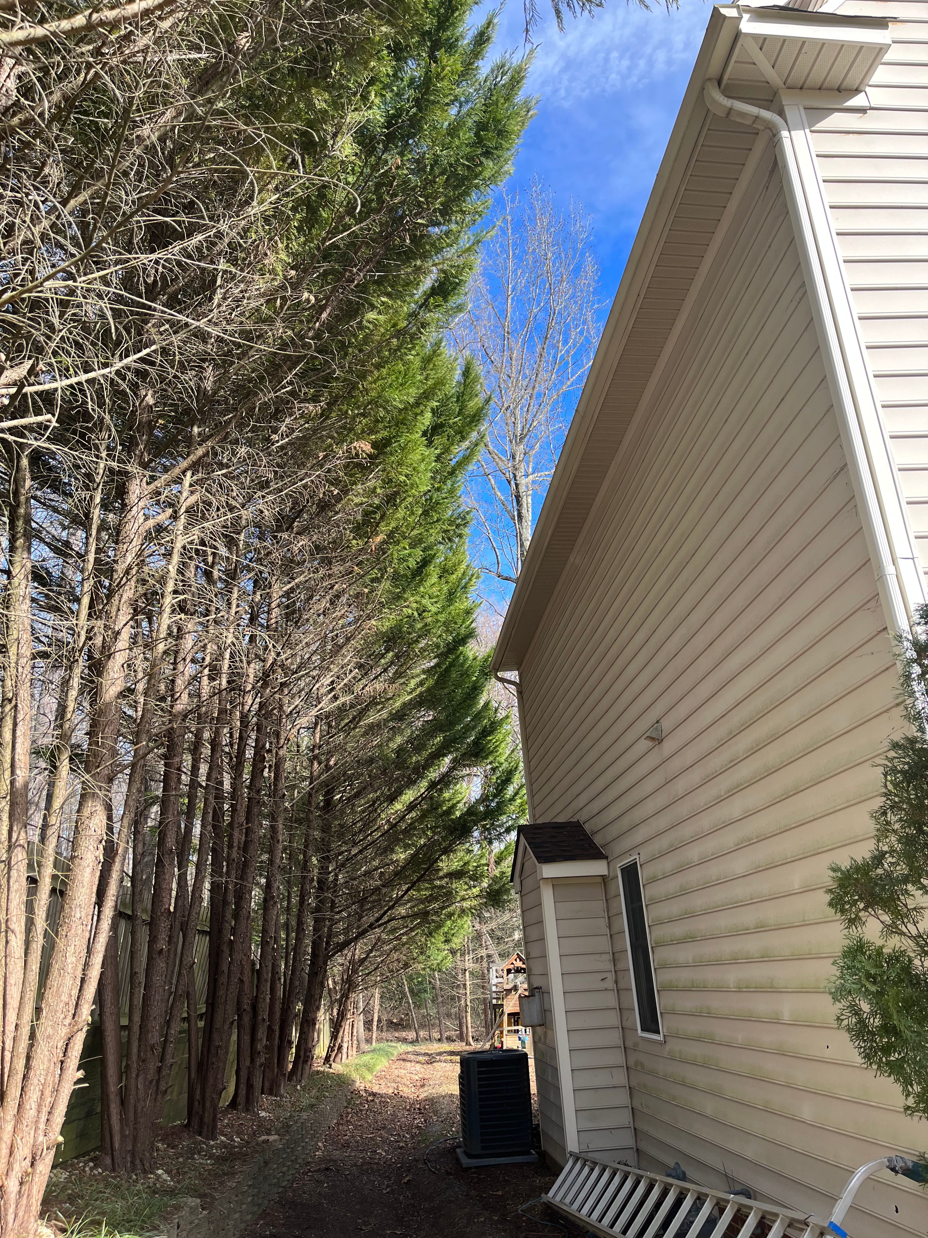  for Atlas Home Services in Mechanicsville, VA