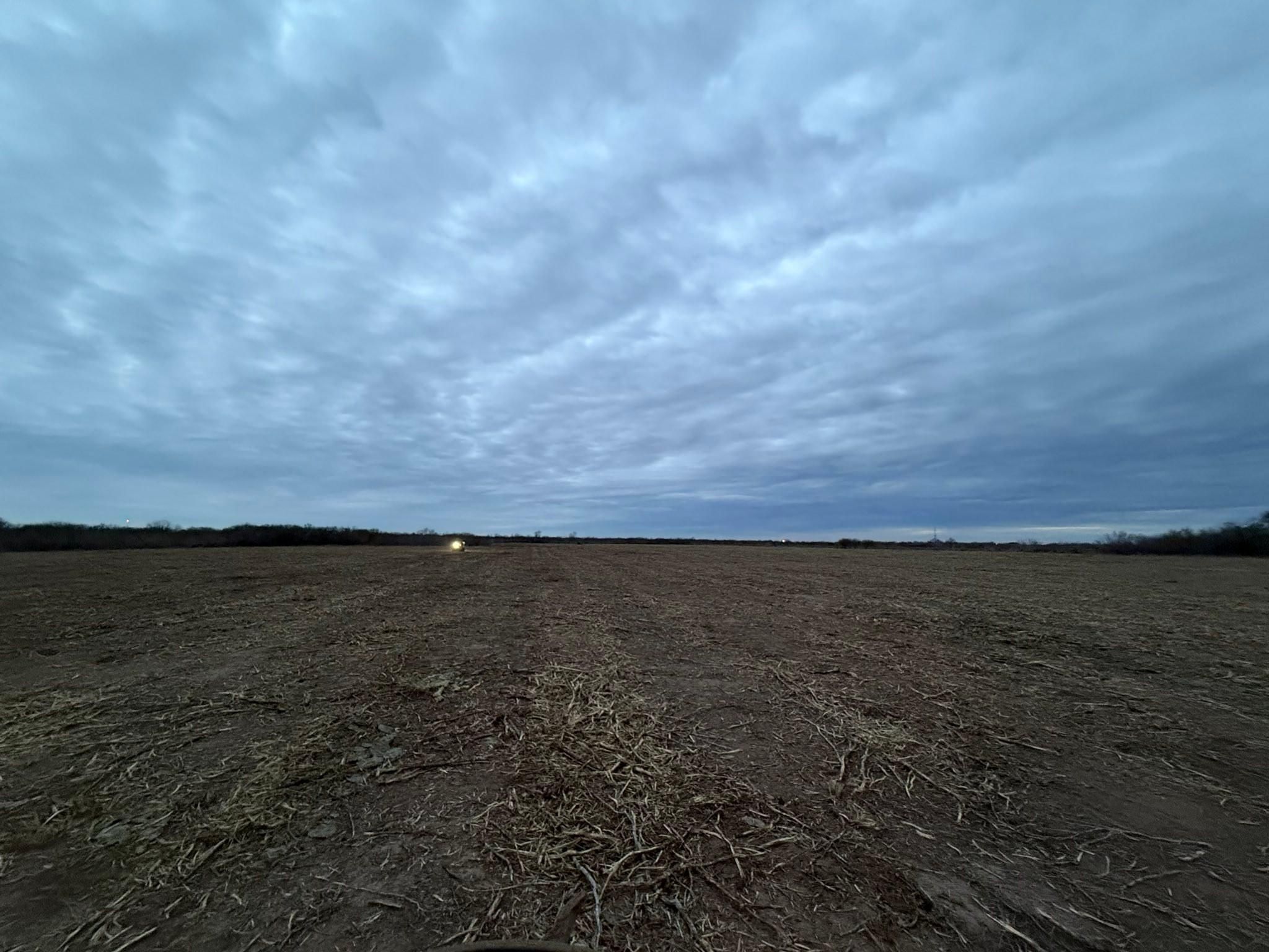  for Strause Land Improvement & Construction in George West, TX