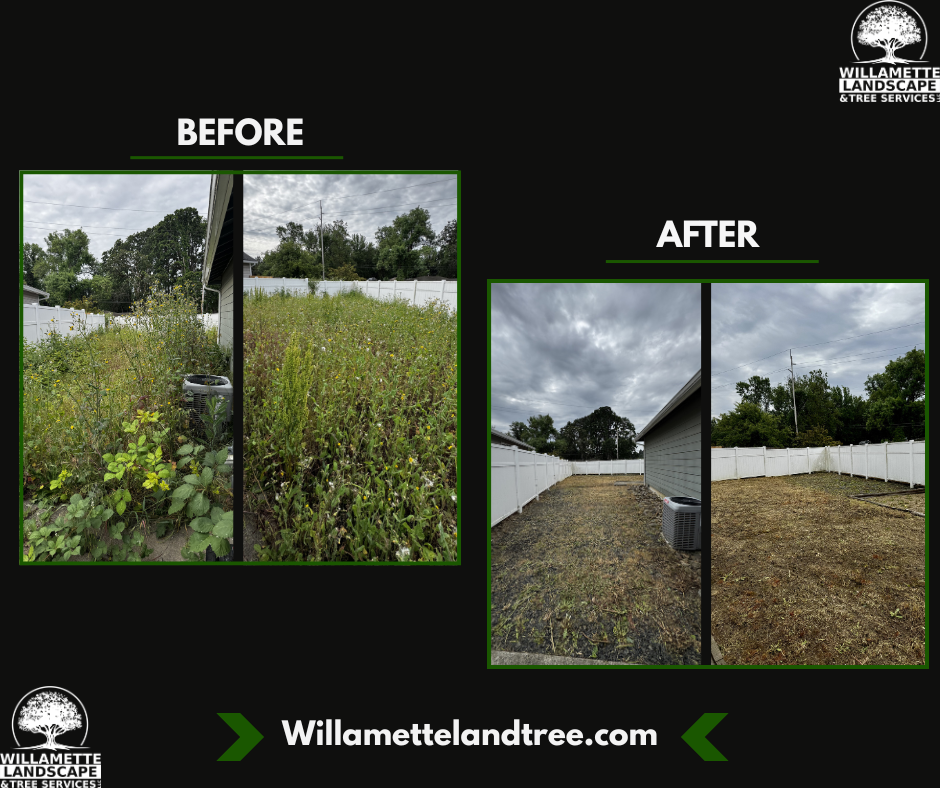  for Willamette Landscaping & Tree Services in Albany, OR