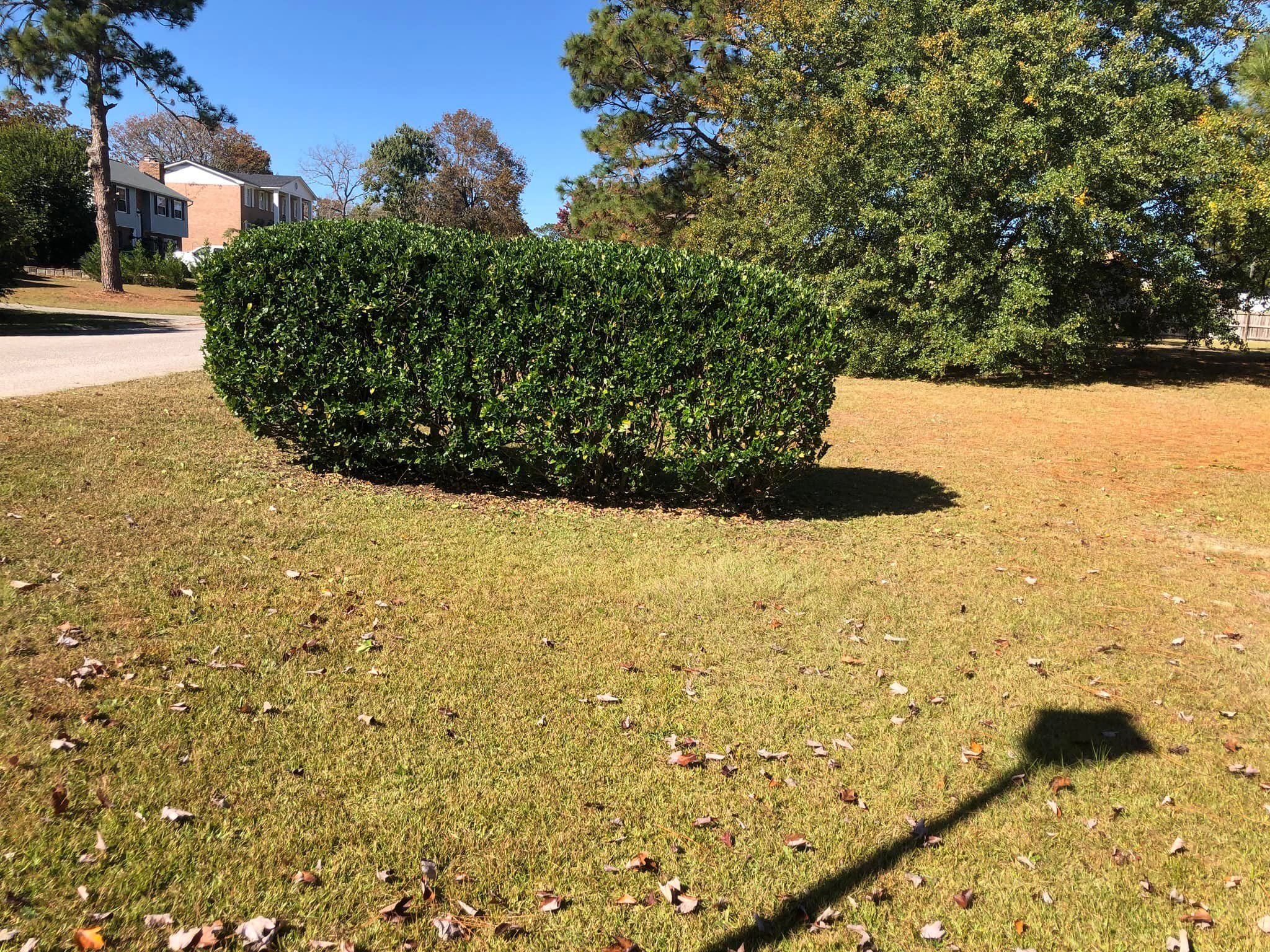  for Shang's Landscaping Service in Columbia, South Carolina