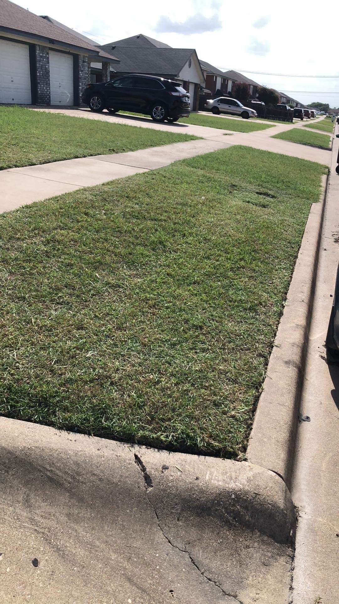  for D’s Lawncare in Killeen, TX