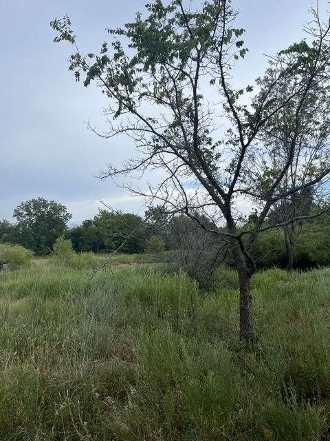  for CND Tree Services in Claremore, OK