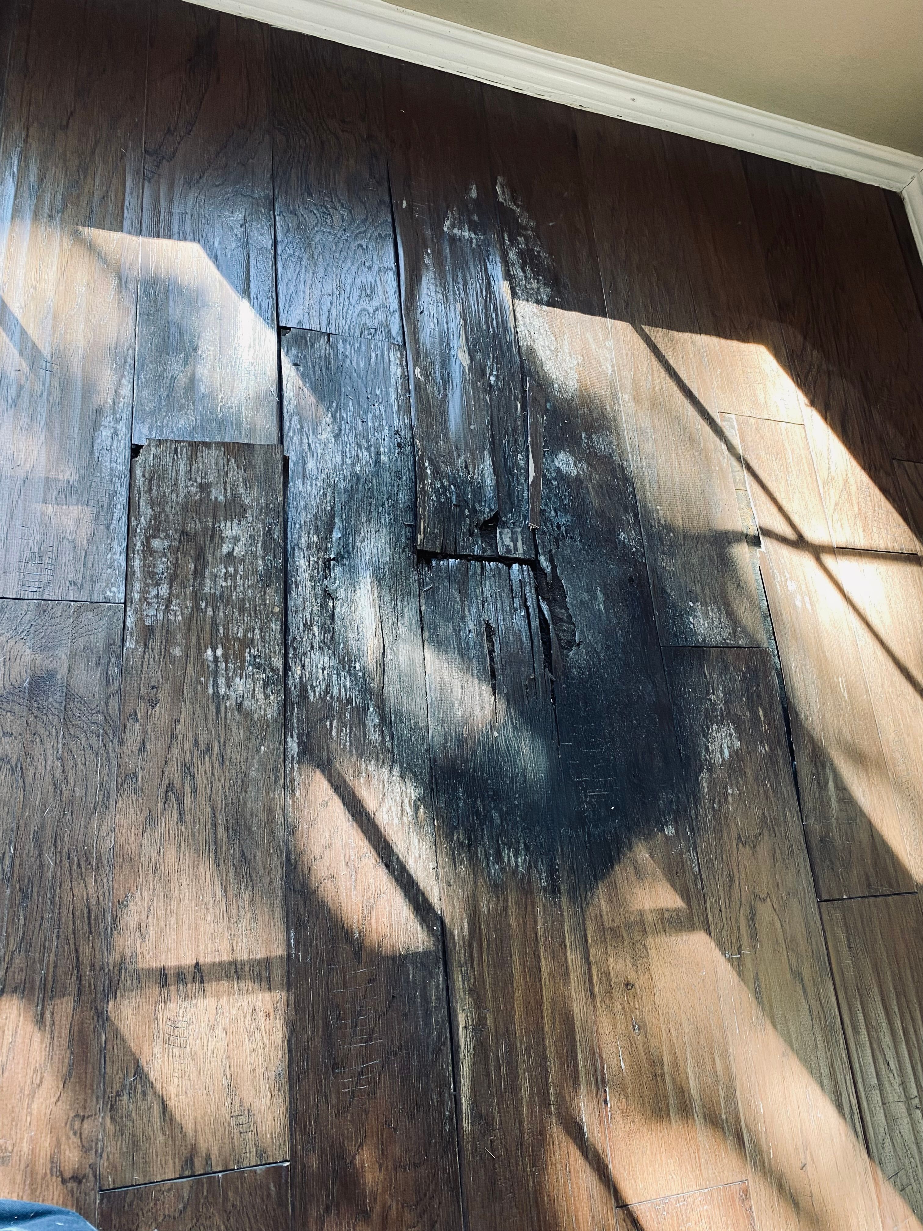 All Photos for D&K Demo and Handyman, LLC in Royse City, TX