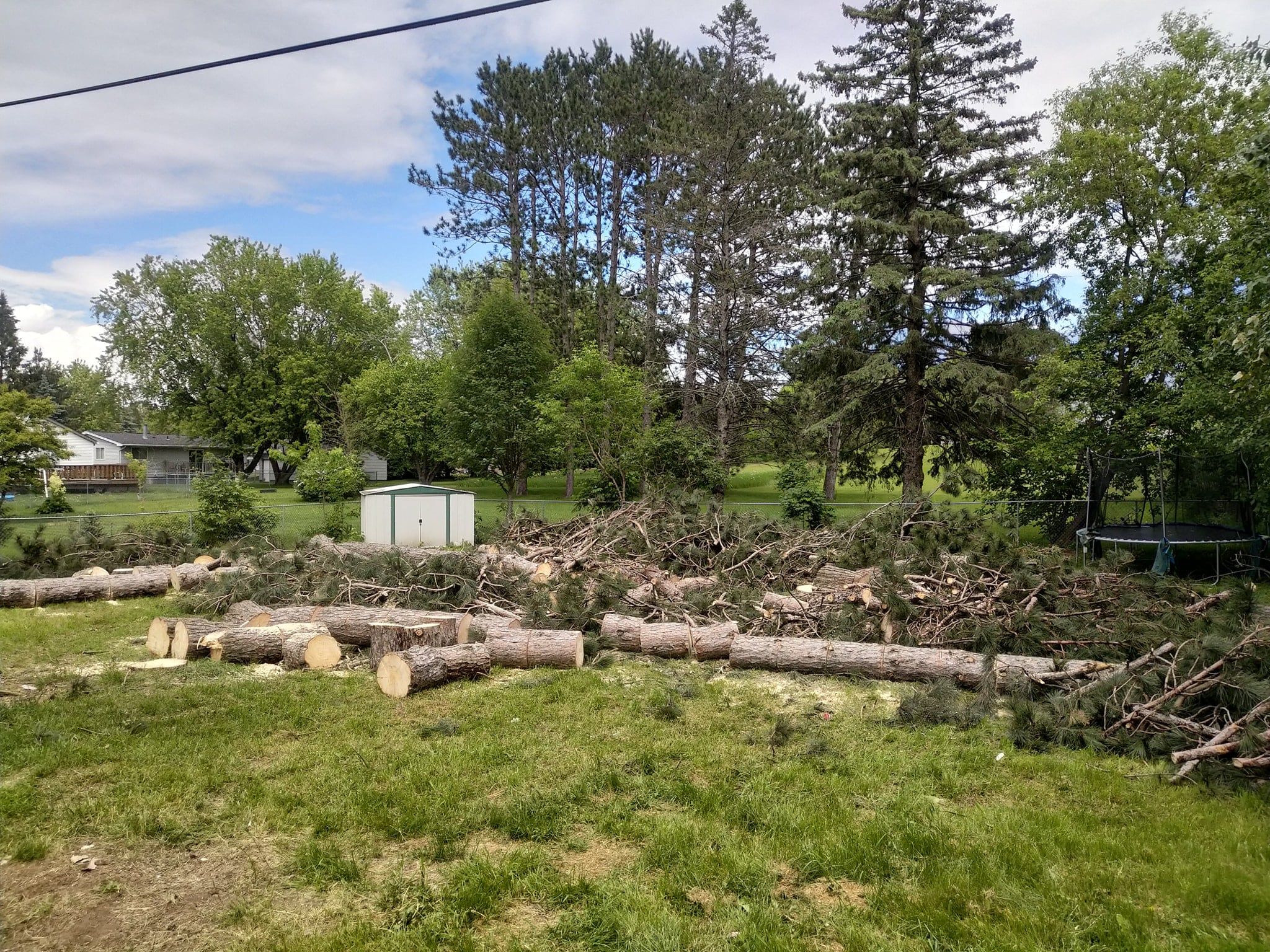  for Sloan Tree Service in Aurora, CO