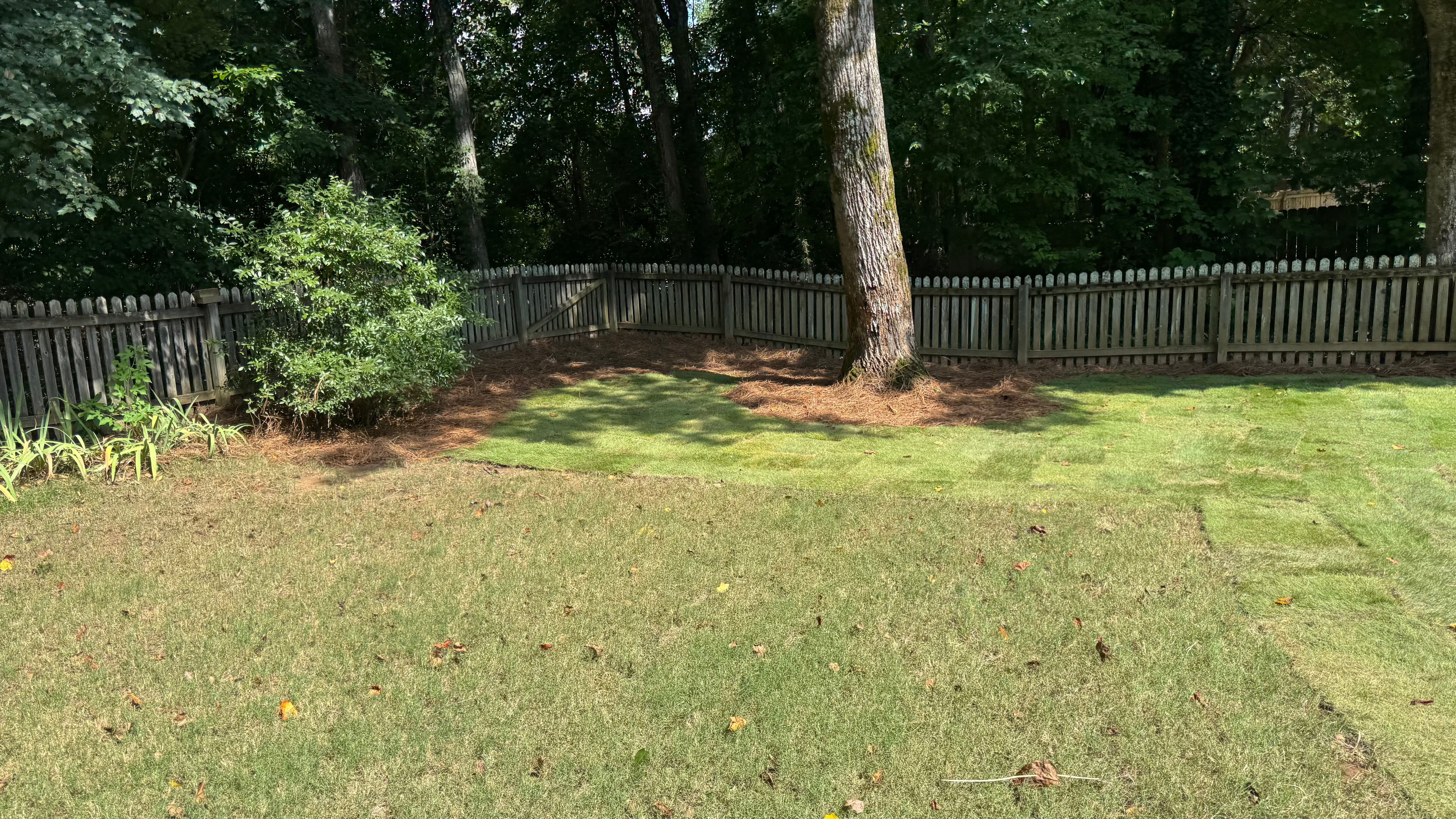  for Capital GREEN in Atlanta, GA