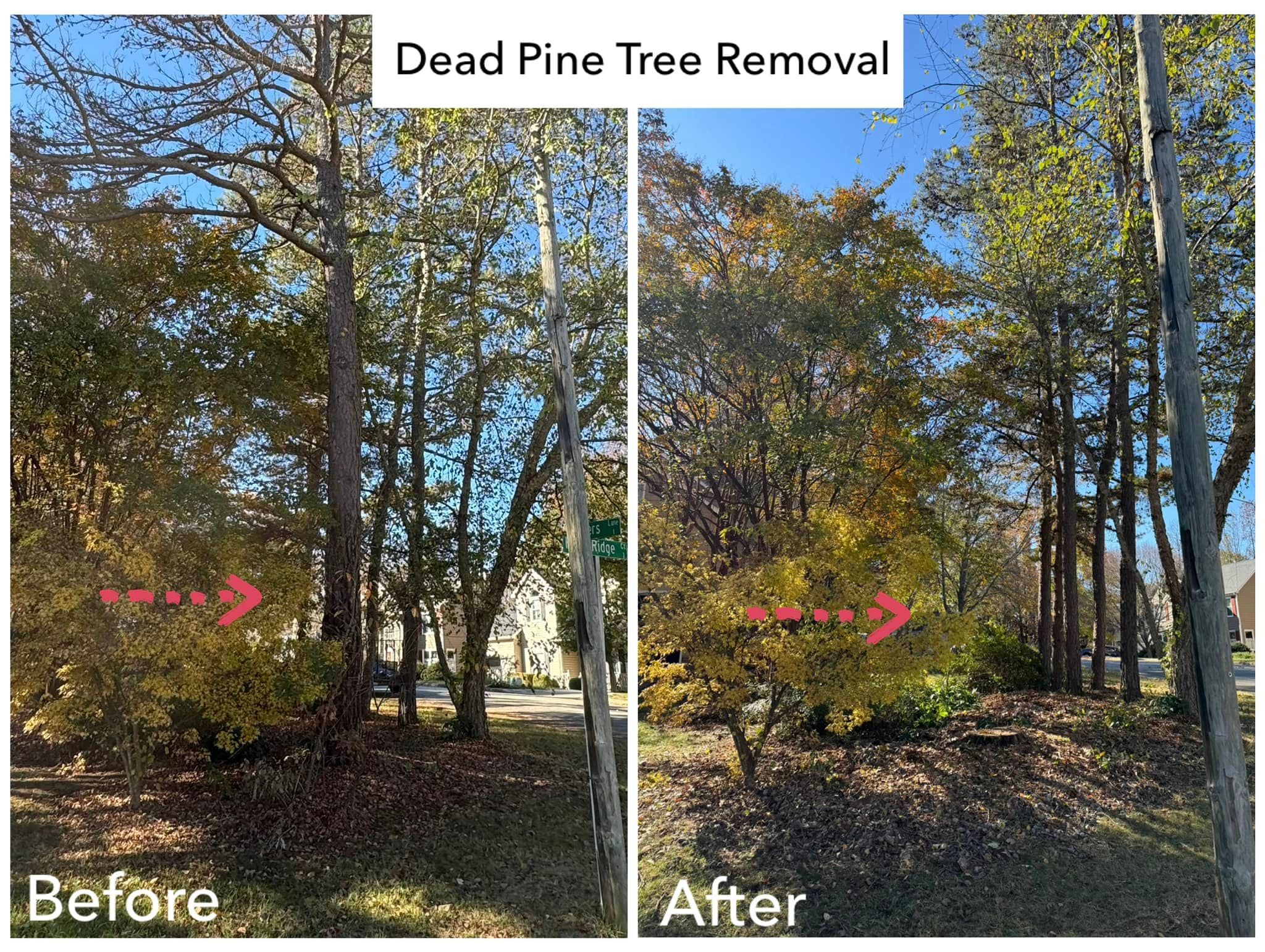 All Photos for Meade tree service in Greensboro, NC
