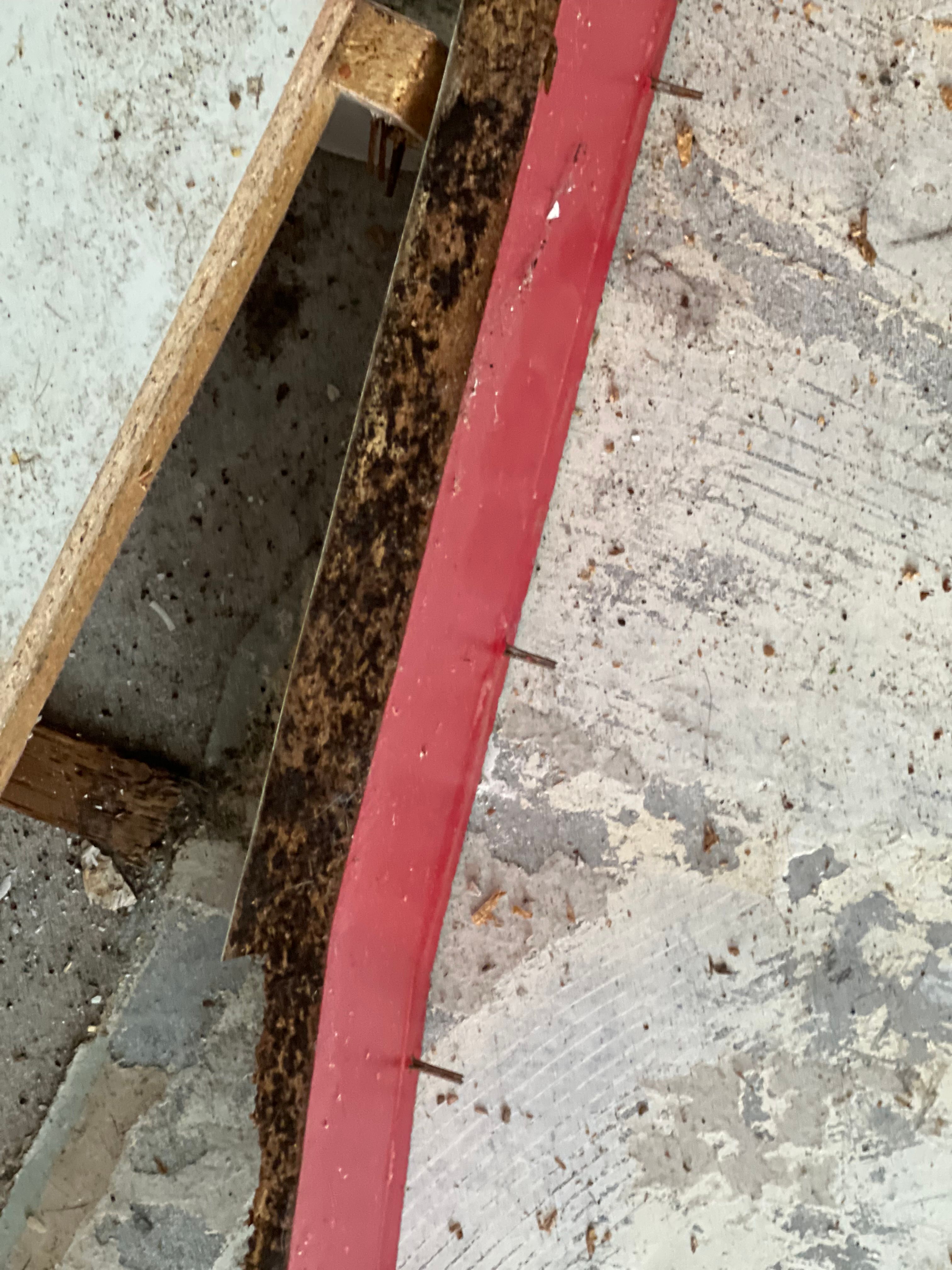  for N&D Restoration Services When Disaster Strikes, We Come In in Cape Coral,  FL