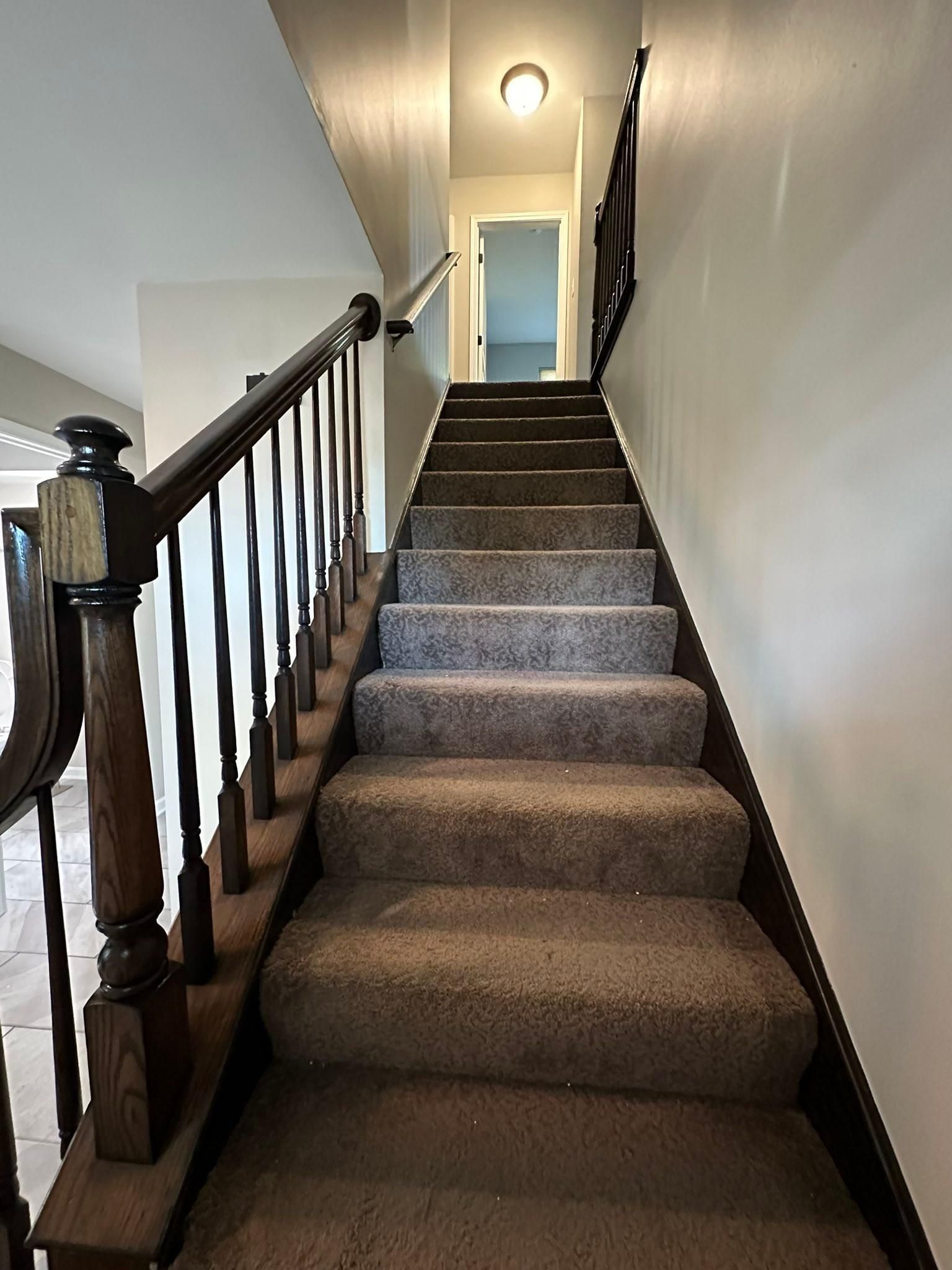  for TL Painting in Joliet, IL