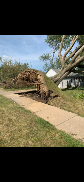 All Photos for Allstate Tree Service and Crane in Spring Lake Park, MN