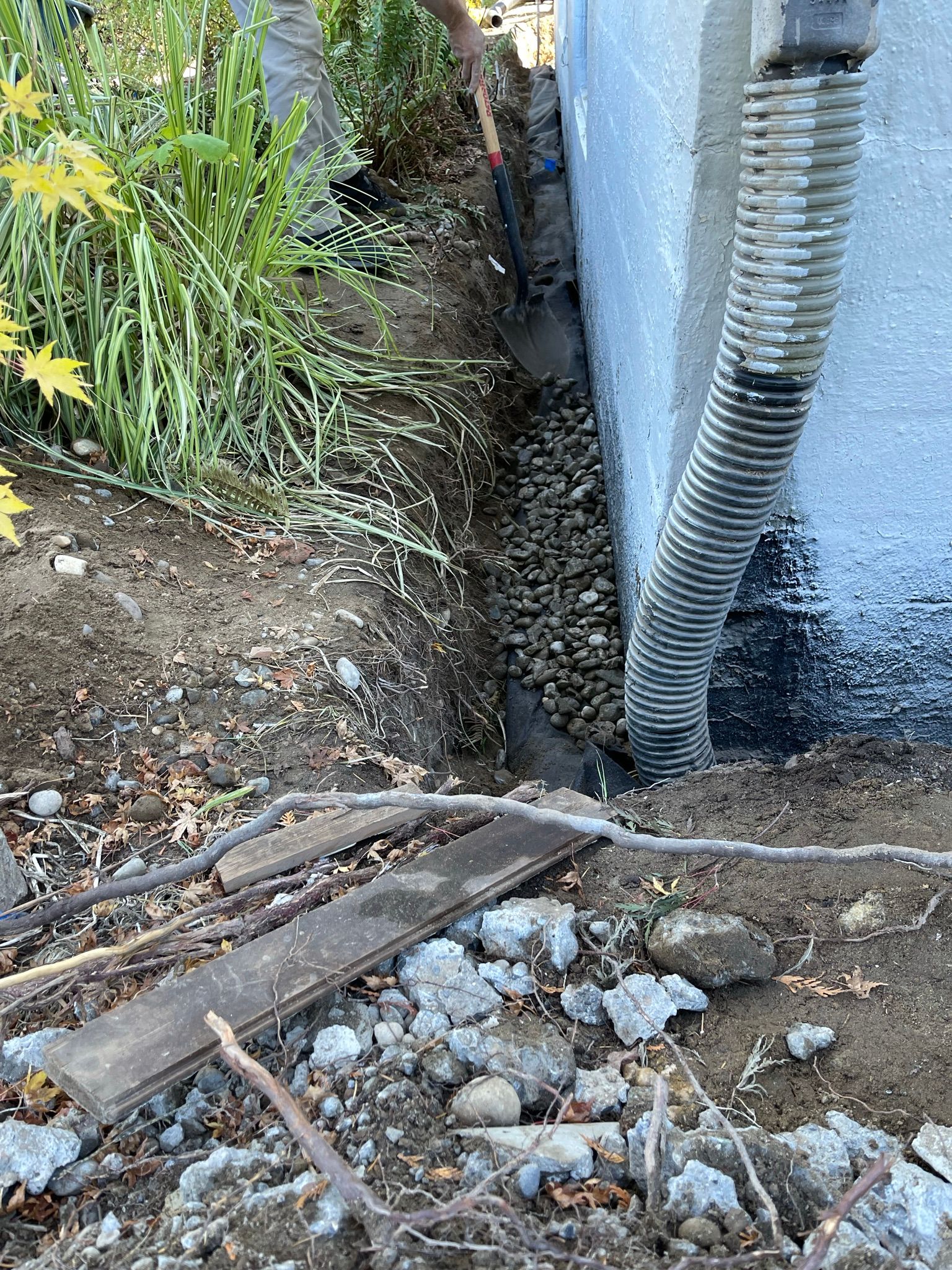  for Tony's Remodeling & Painting in Renton, WA