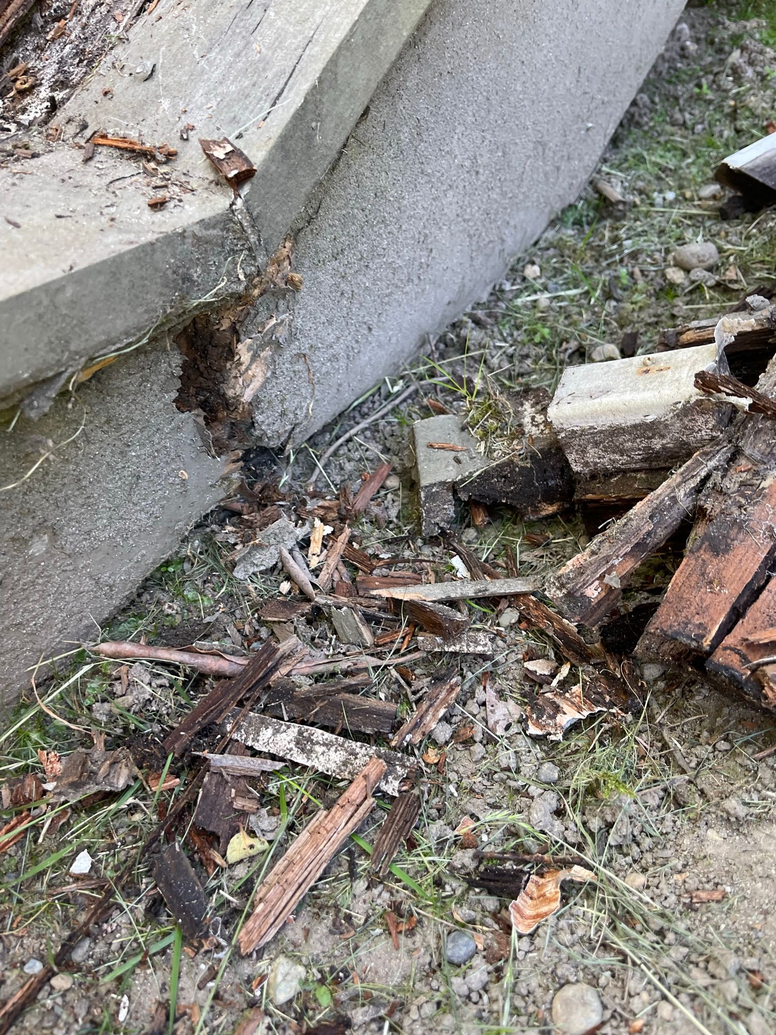  for Tony's Remodeling & Painting in Renton, WA