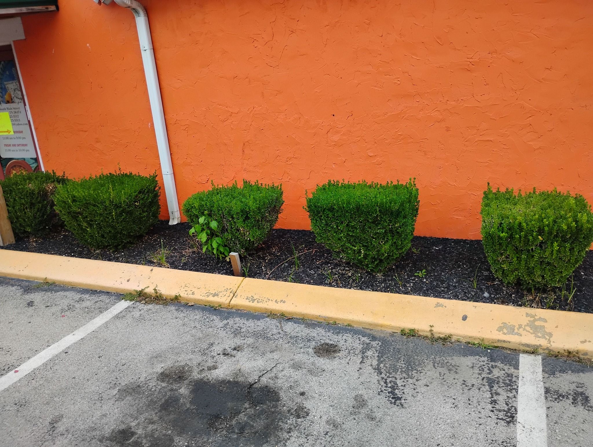 Lawn Care for Mark's Lawn Care in Mount Pleasant, TN