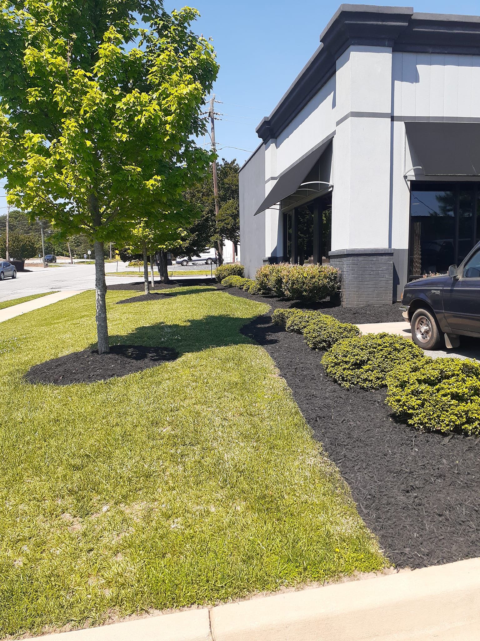 for Down To Earth Tree and Landscaping in Greenville, SC