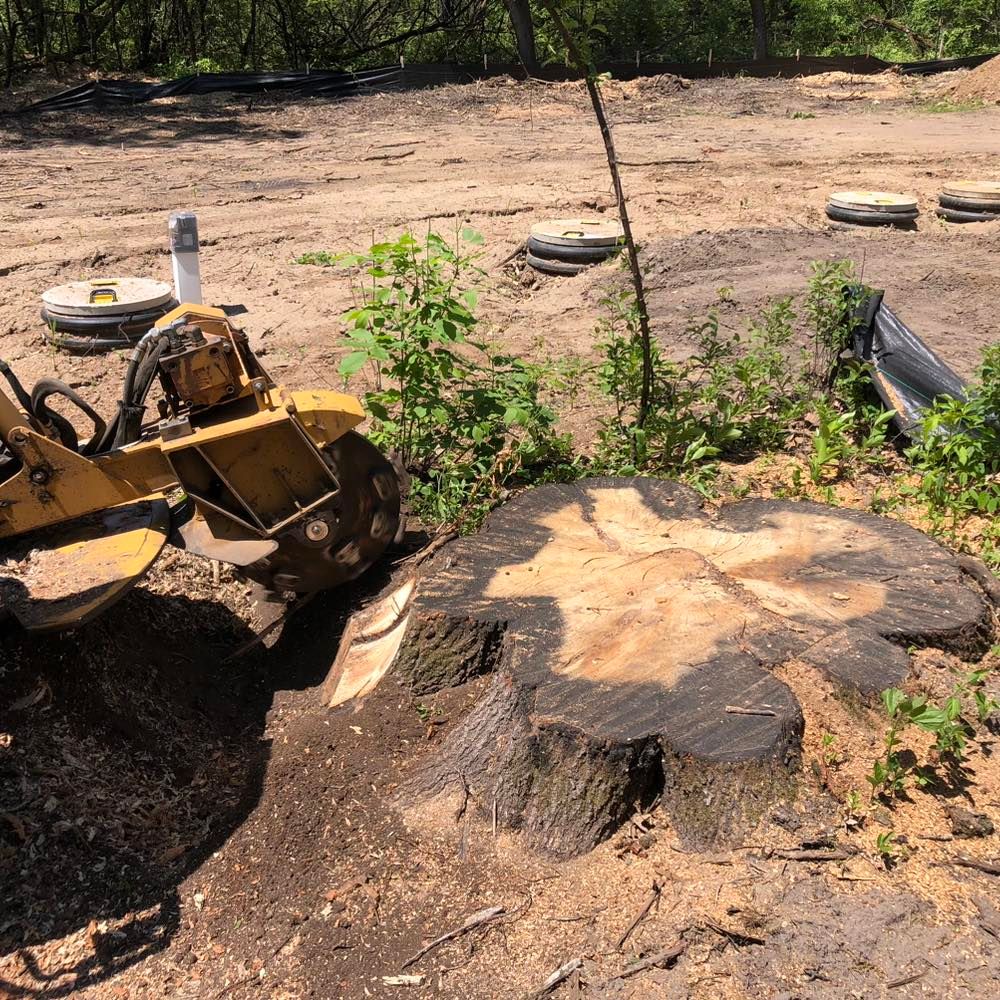 Stump Grinding for Corbin’s Stump Grinding in Hugo, MN