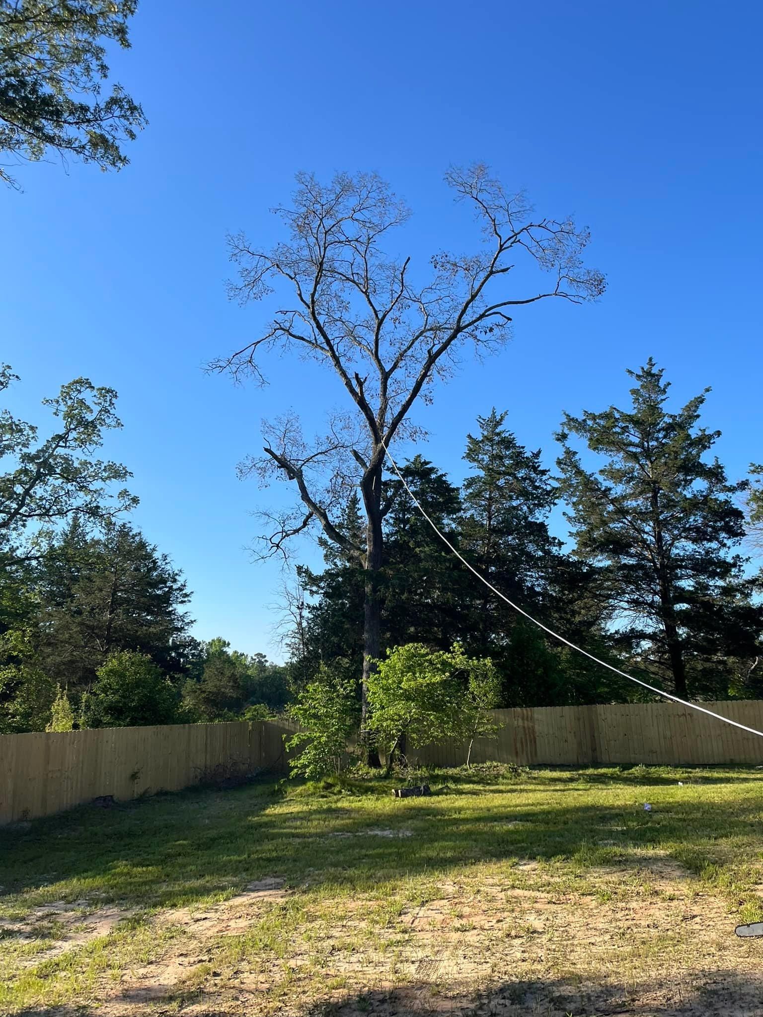  for Banda’s Tree Service And Lawn Care in Tyler, TX