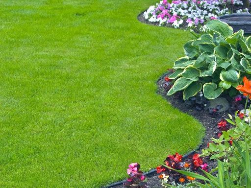  for Whole 9 Yards Services LLC in Green Cove Springs, FL