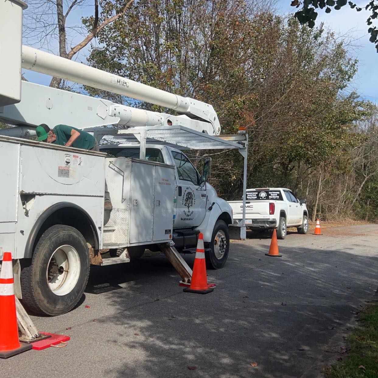  for Ground To Sky Tree Care in Asheville, North Carolina