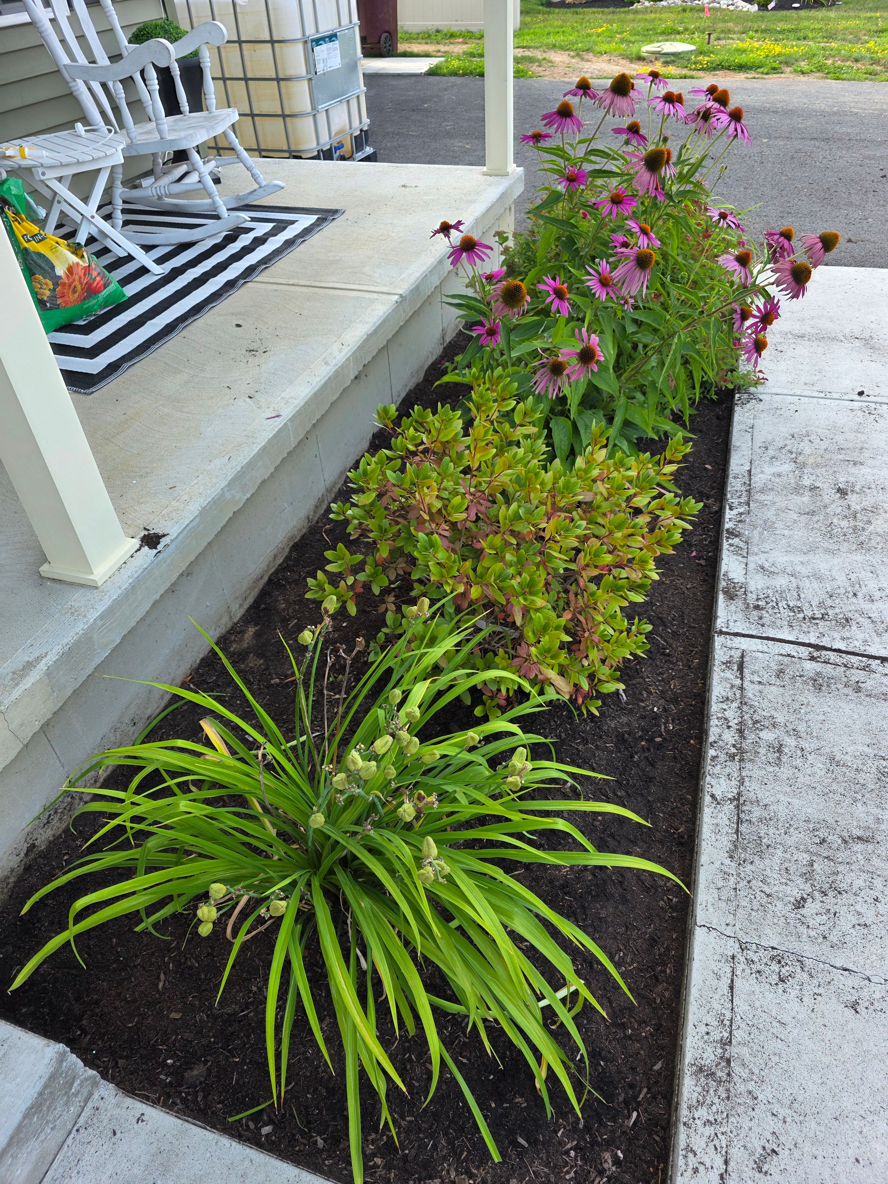  for Sweet Scapes in Ballston Spa, NY