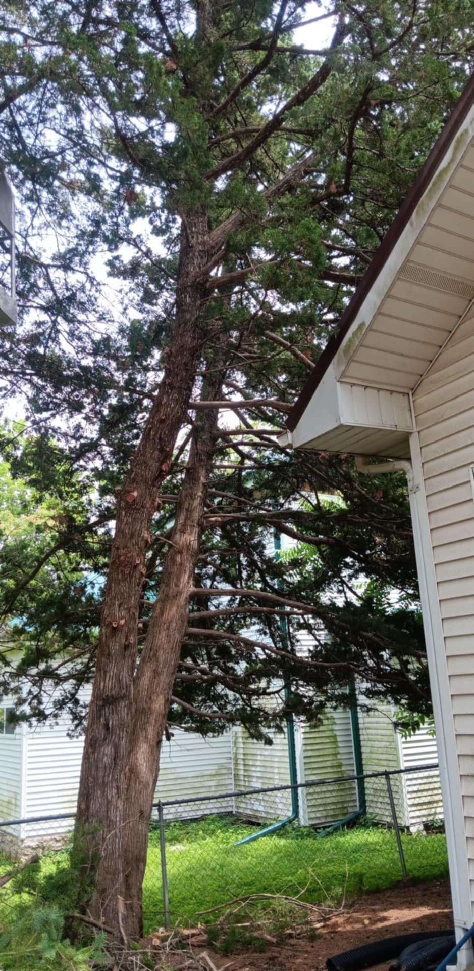  for Lawn Ranger Yard And Tree Service LLC in Ottumwa, IA