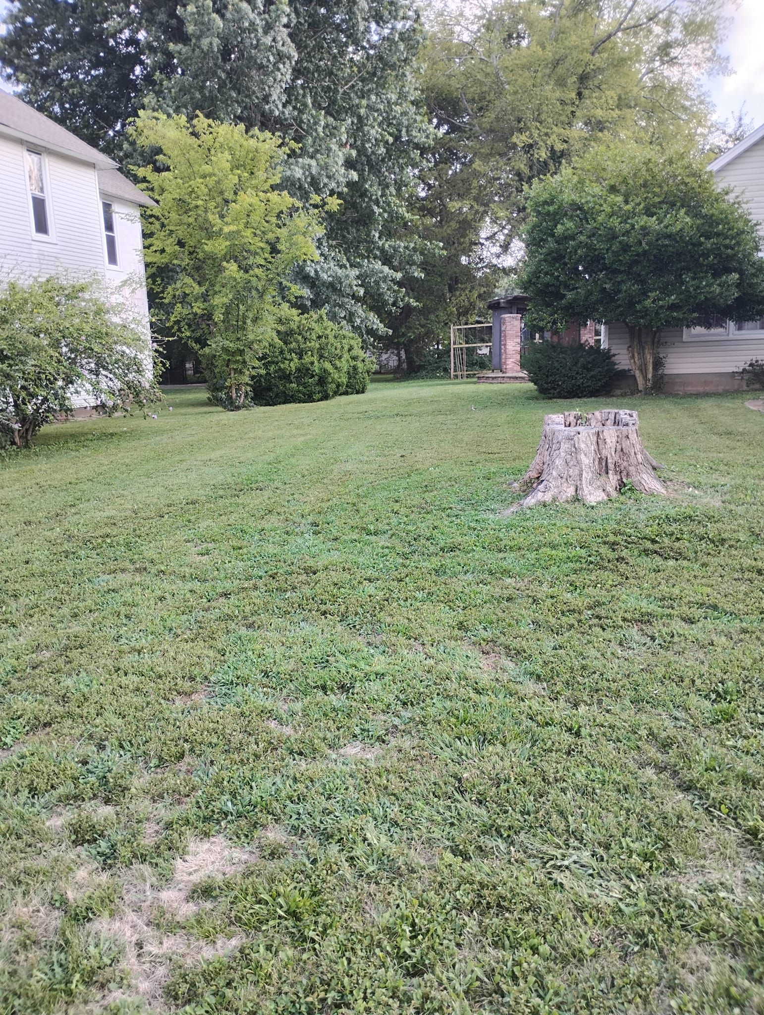 Lawn Care for Mark's Lawn Care in Mount Pleasant, TN