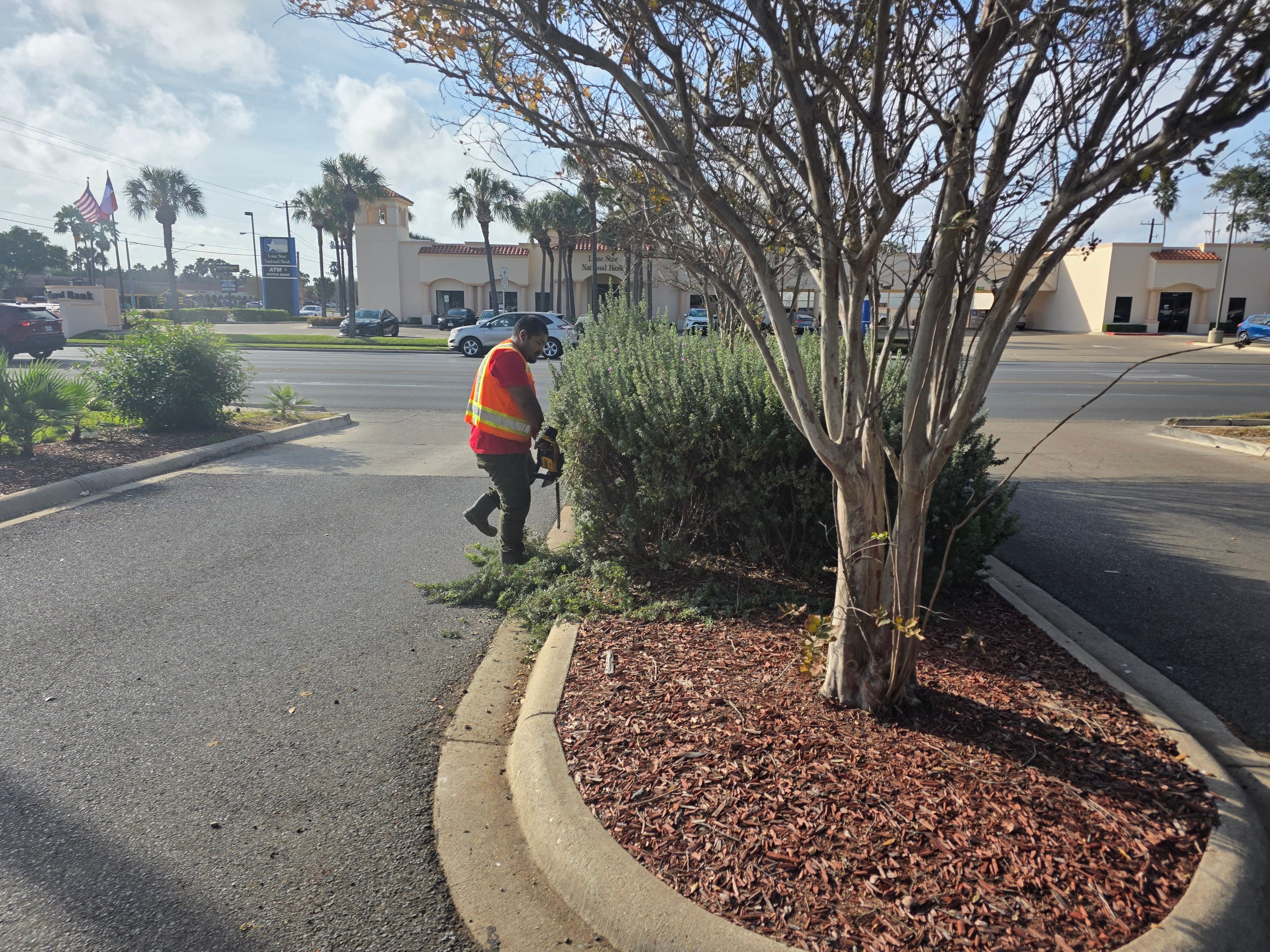  for Pro Lawn Care RGV in McAllen, TX