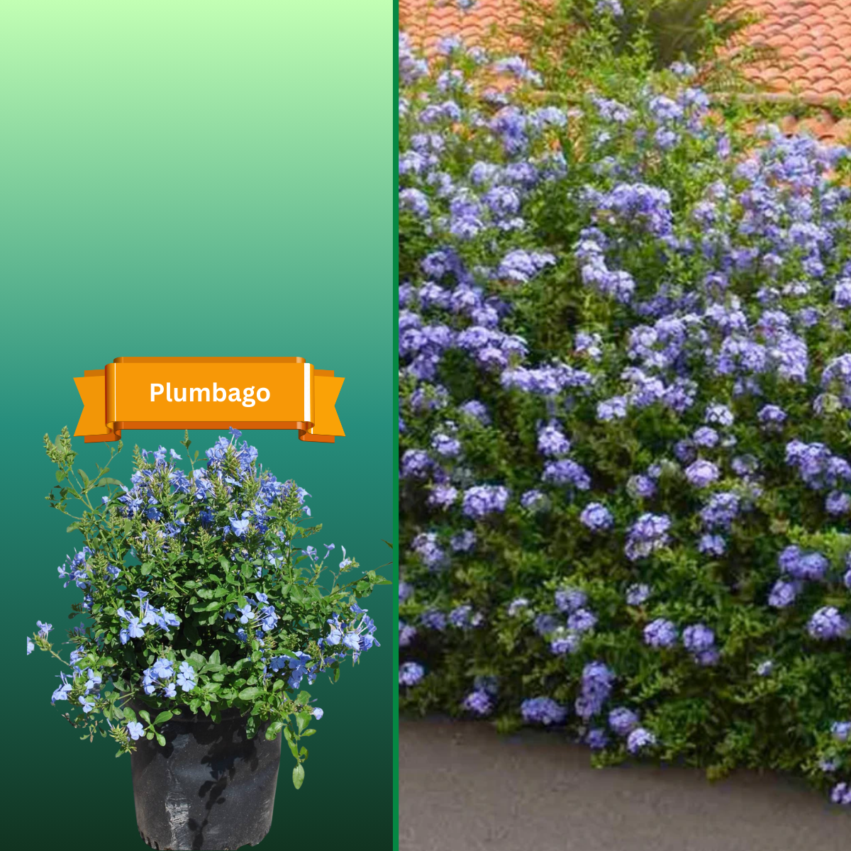  for R.B. & Company in Belleview, FL