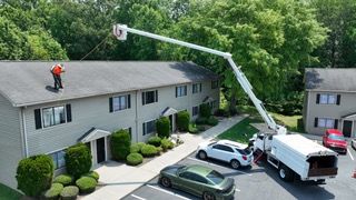  for Cisco Kid Tree Service LLC in Charlotte, North Carolina
