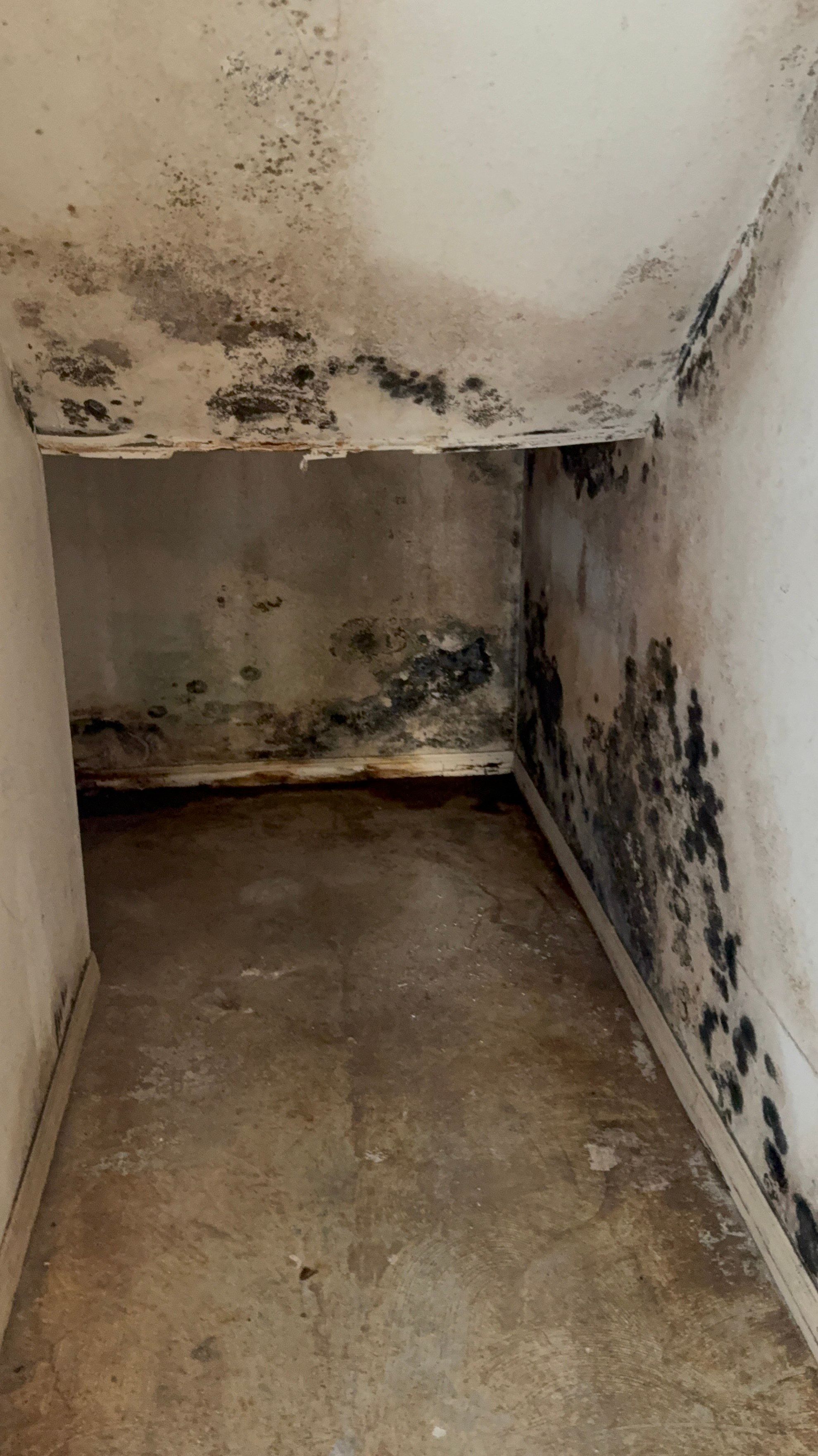  for N&D Restoration Services: When Disaster Strikes, We Come In in Cape Coral,  FL