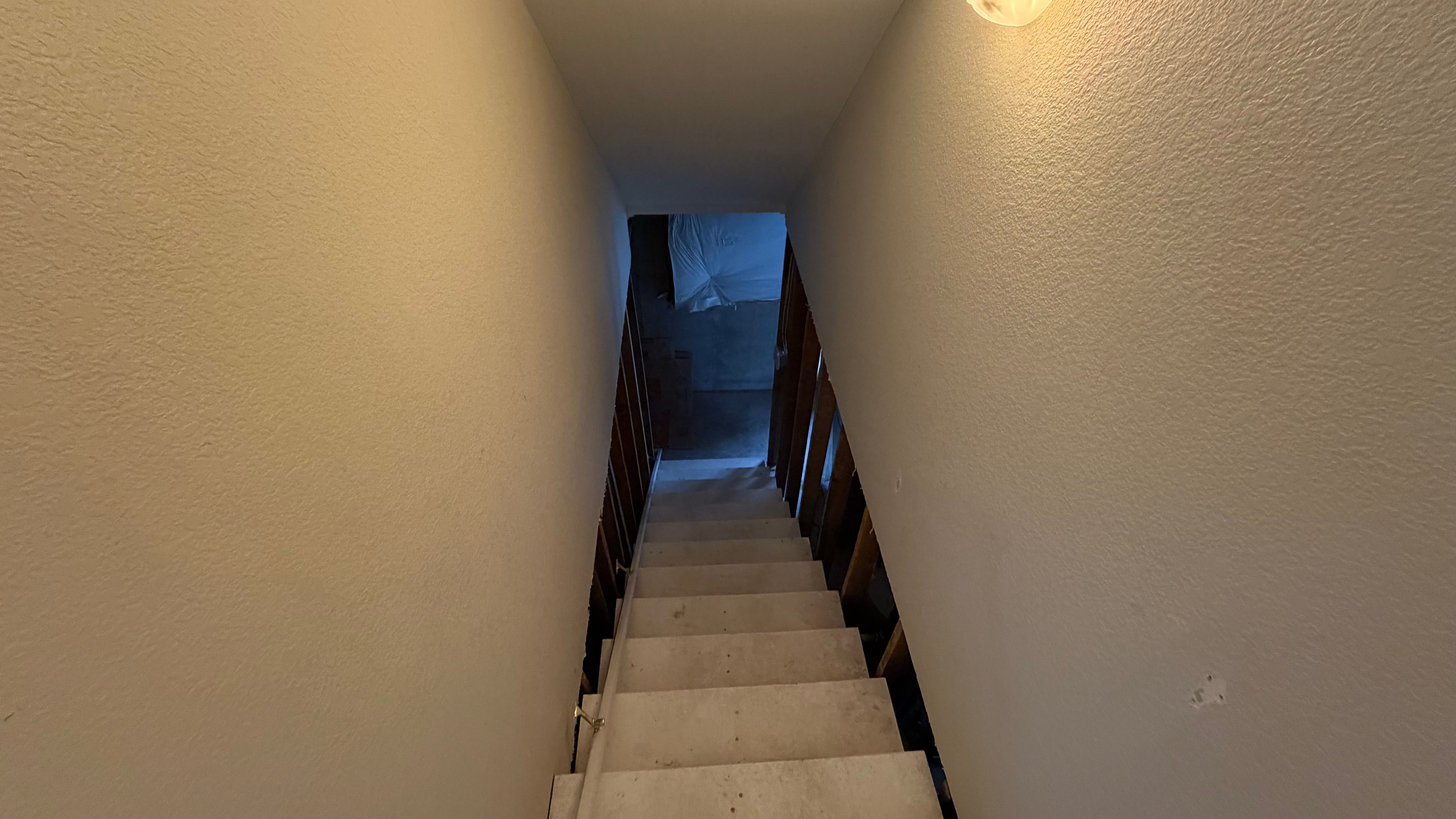  for Patch Pros LLC in Denver, CO