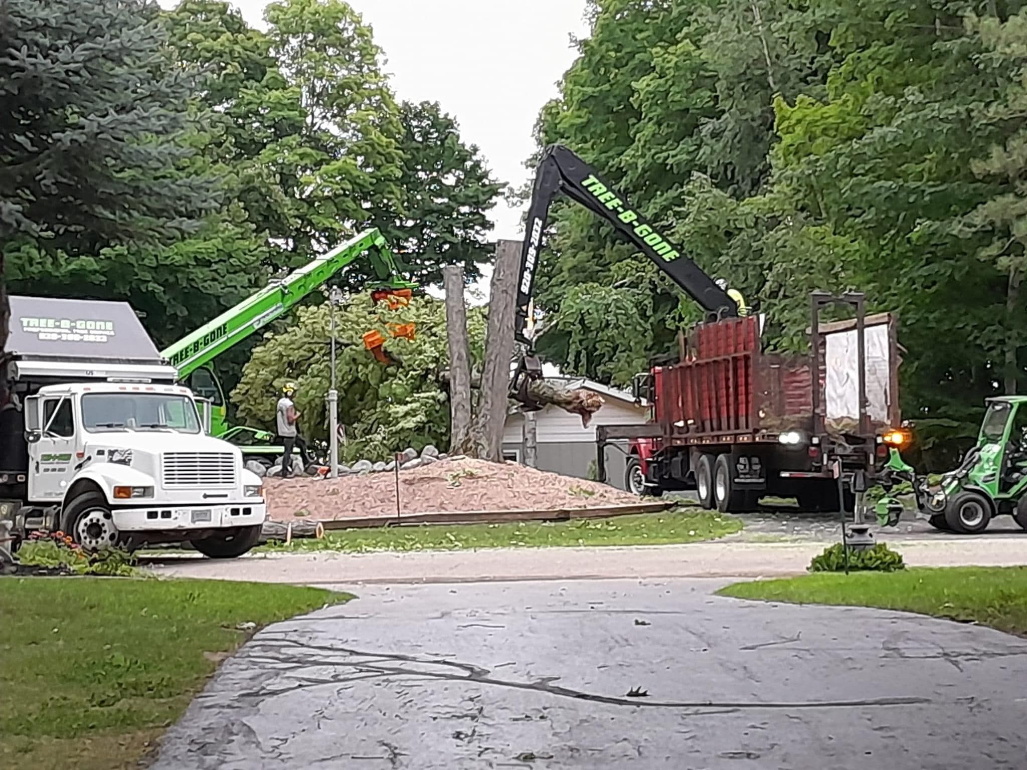 Tree Removal for Tree-B-Gone in Shawano, WI