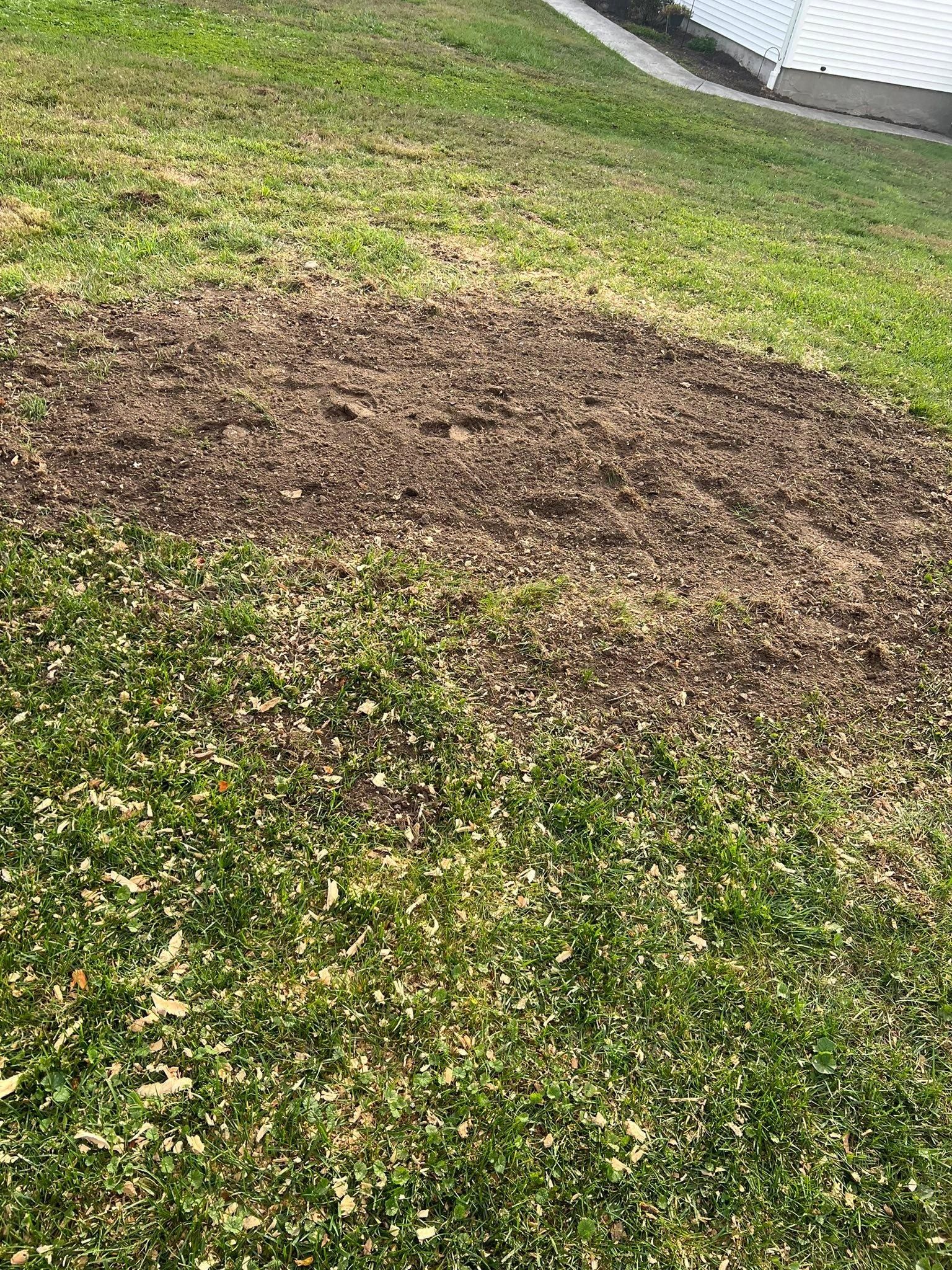  for Lopez Landscaping and Hardscapes in Scranton, PA