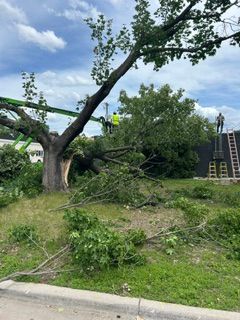 All Photos for Allstate Tree Service and Crane in Spring Lake Park, MN