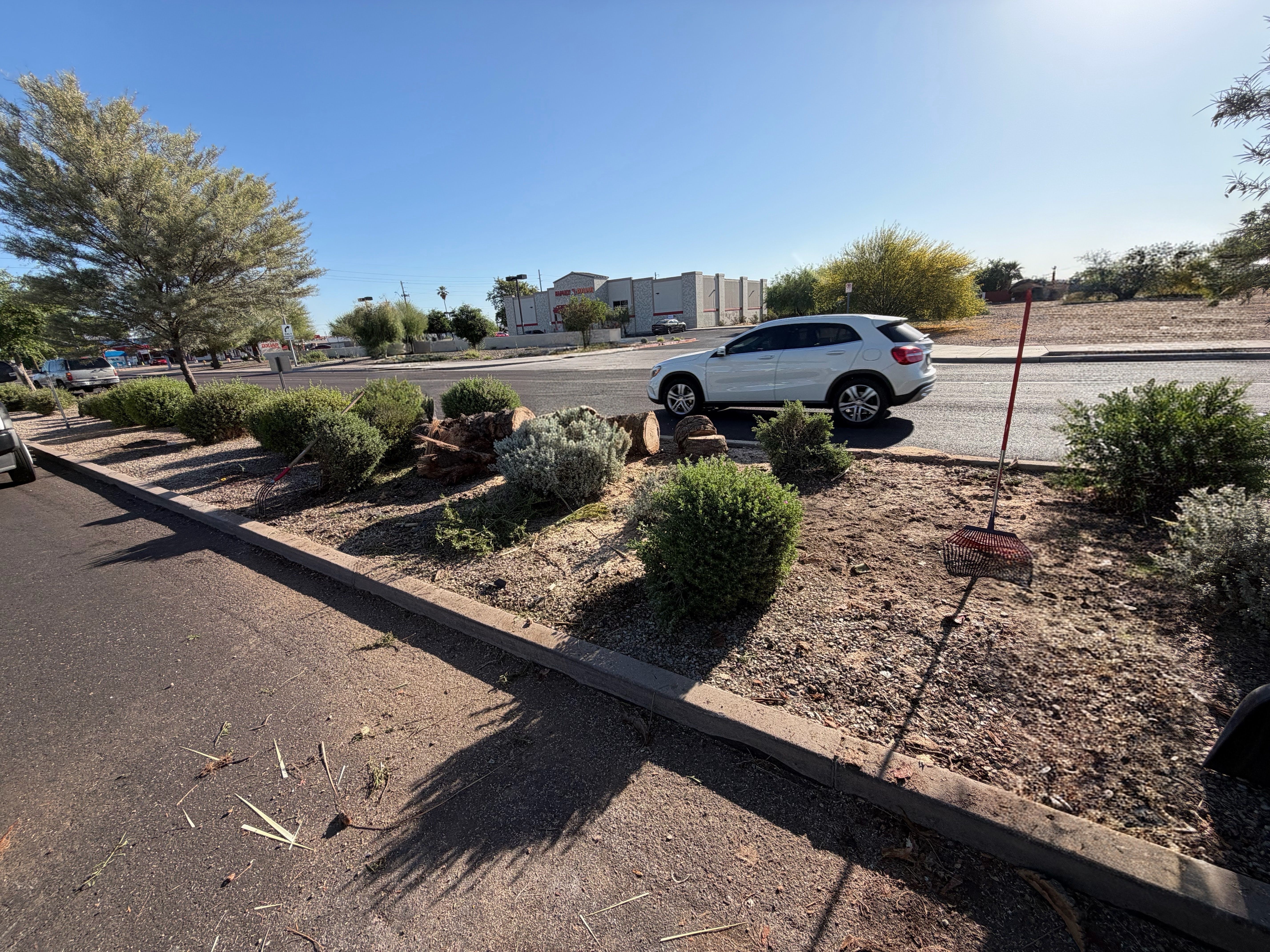 All Photos for Grand Canyon State Landscape Inc. in Surprise, AZ