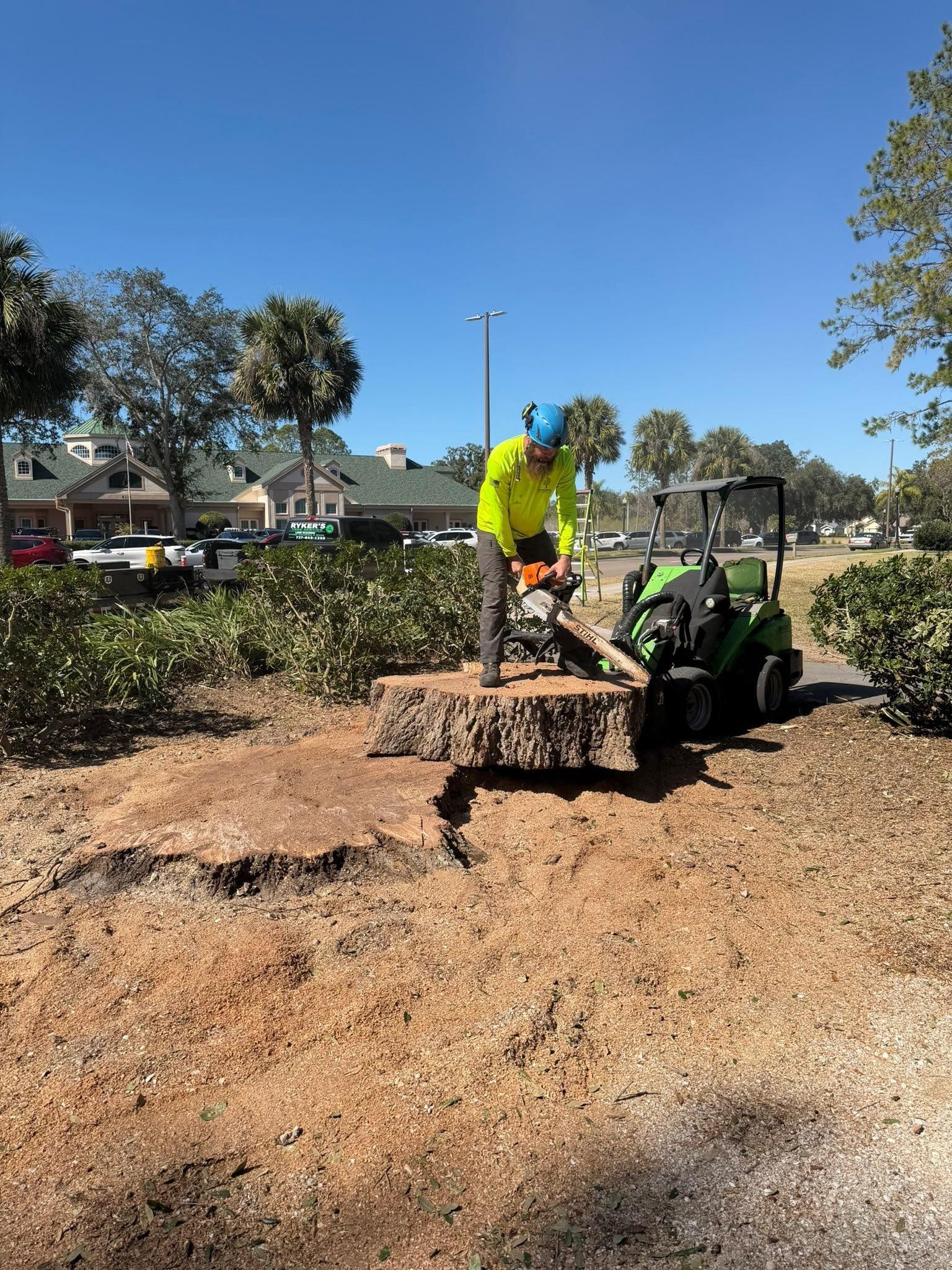 All Photos for Ryker's Tree Service in Dunedin, FL