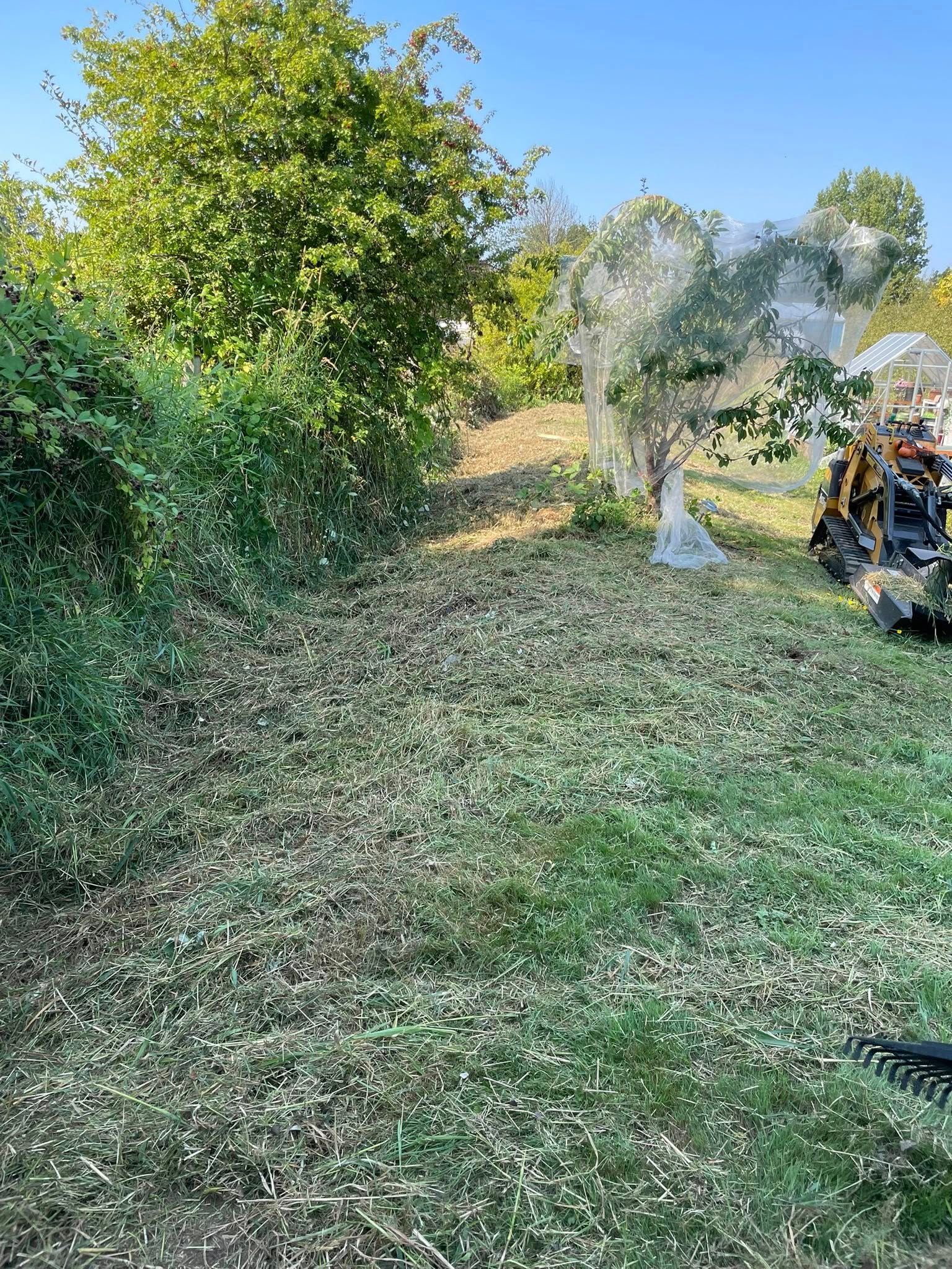 for Wilderness Stump Grinding in Orting, WA