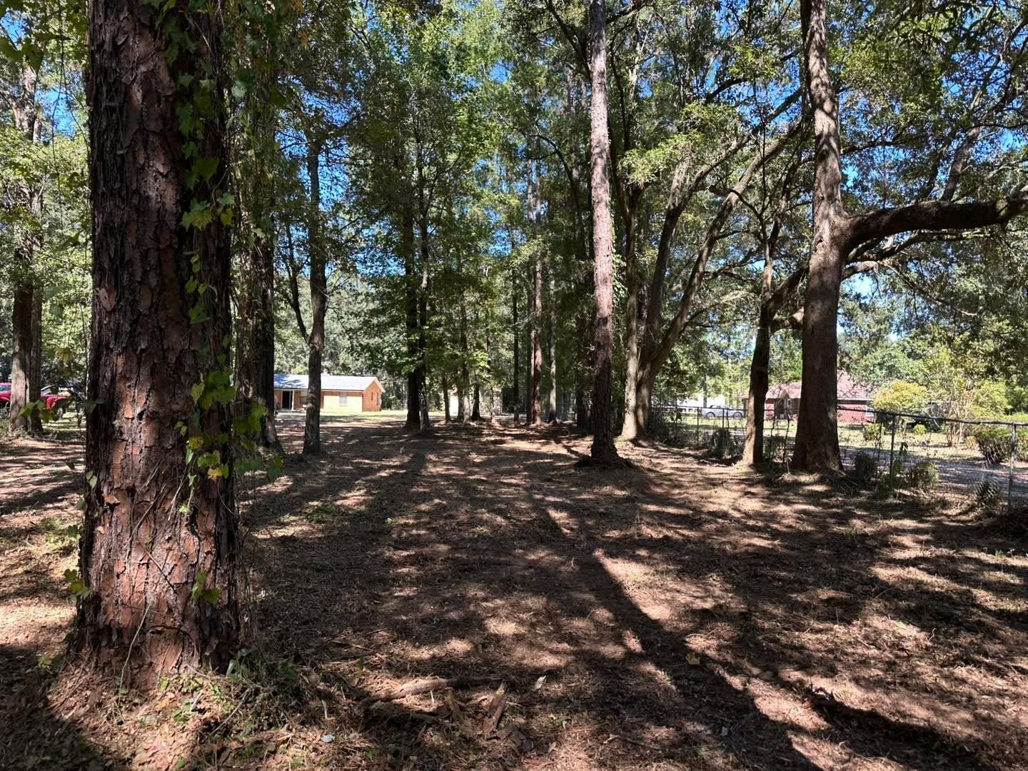  for White’s Land Maintenance in Milton,, FL