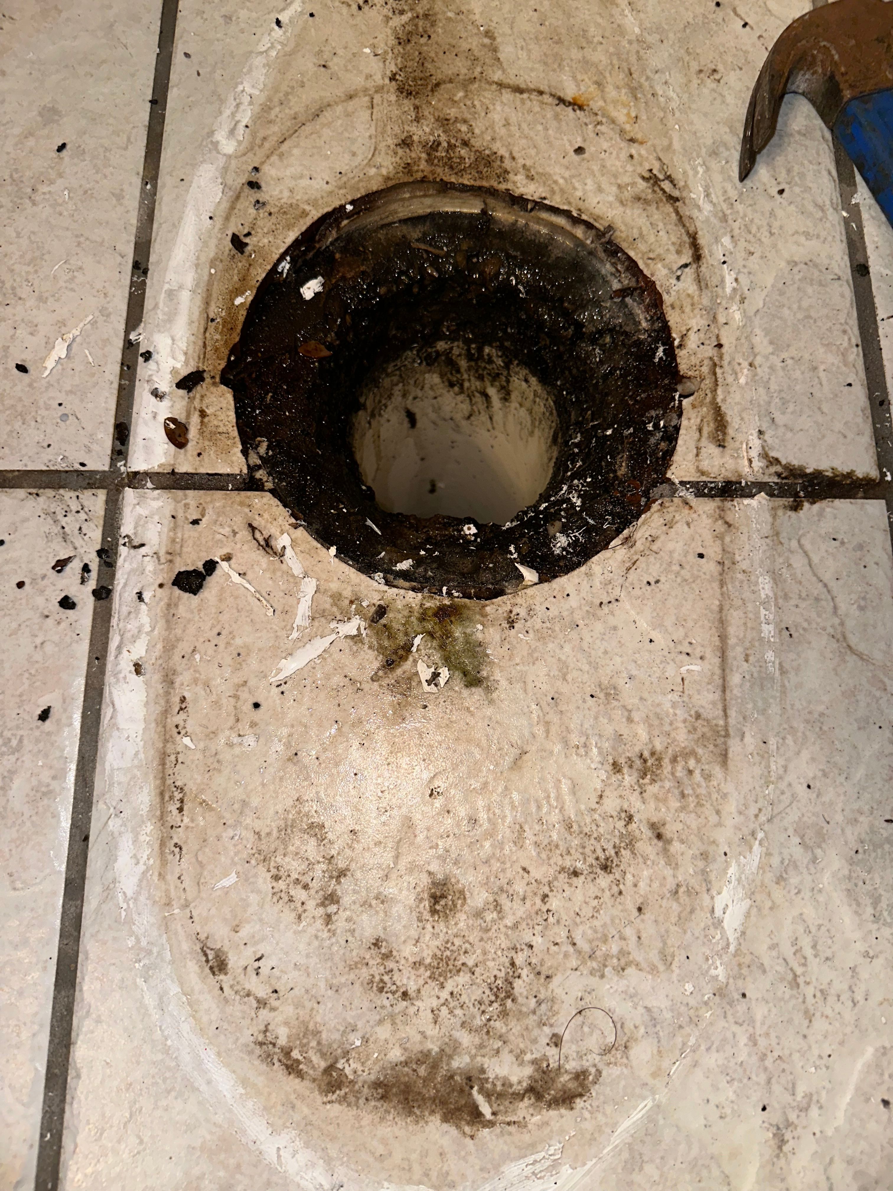 All Photos for The Golden Plumber in Pensacola, FL