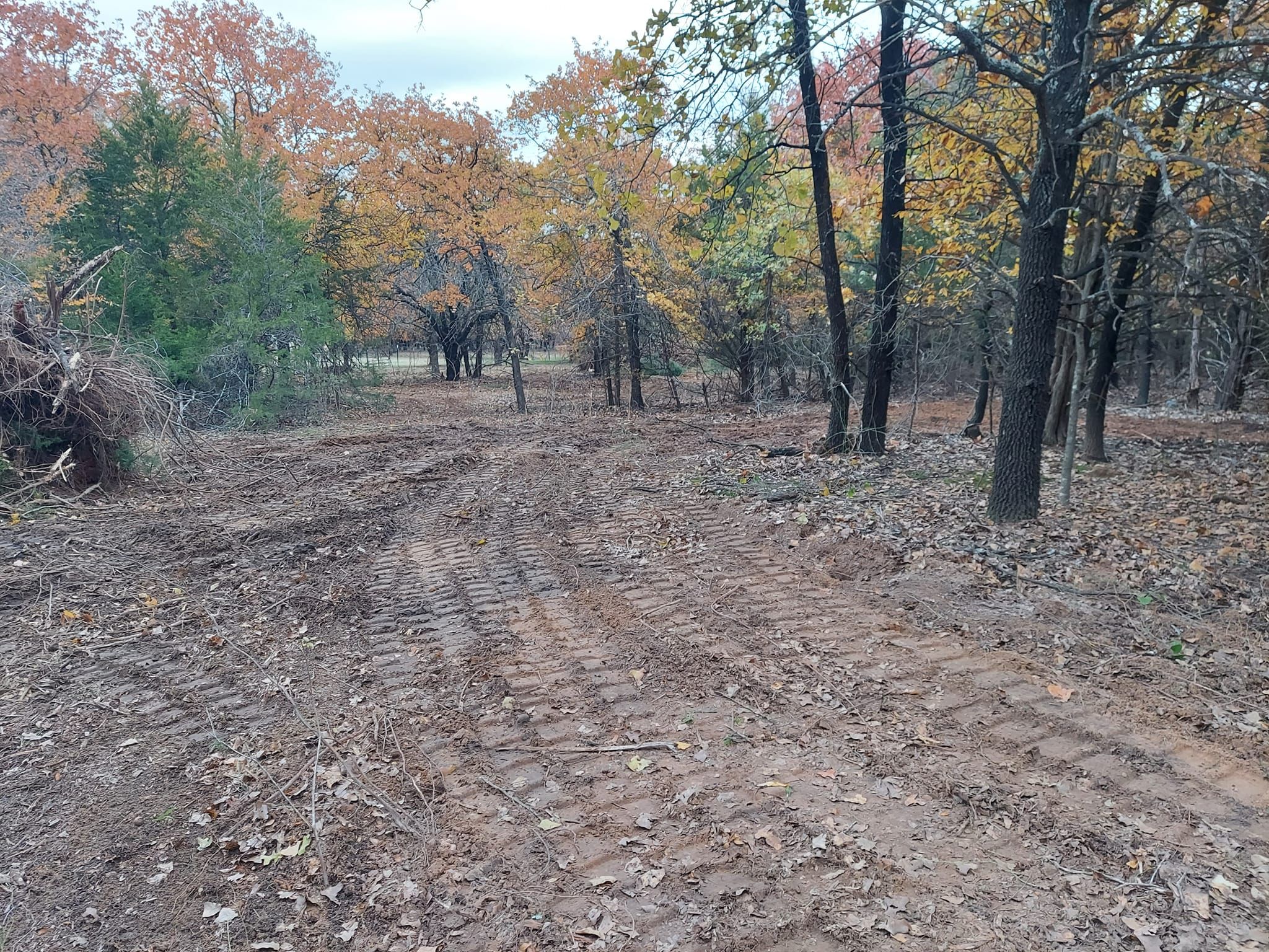  for 4H Property Services in Sanger, TX