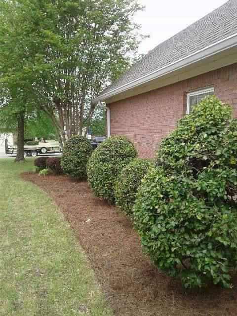 Fall and Spring Clean Up for Freedom Works Lawnscaping in Dyer County, Tennessee