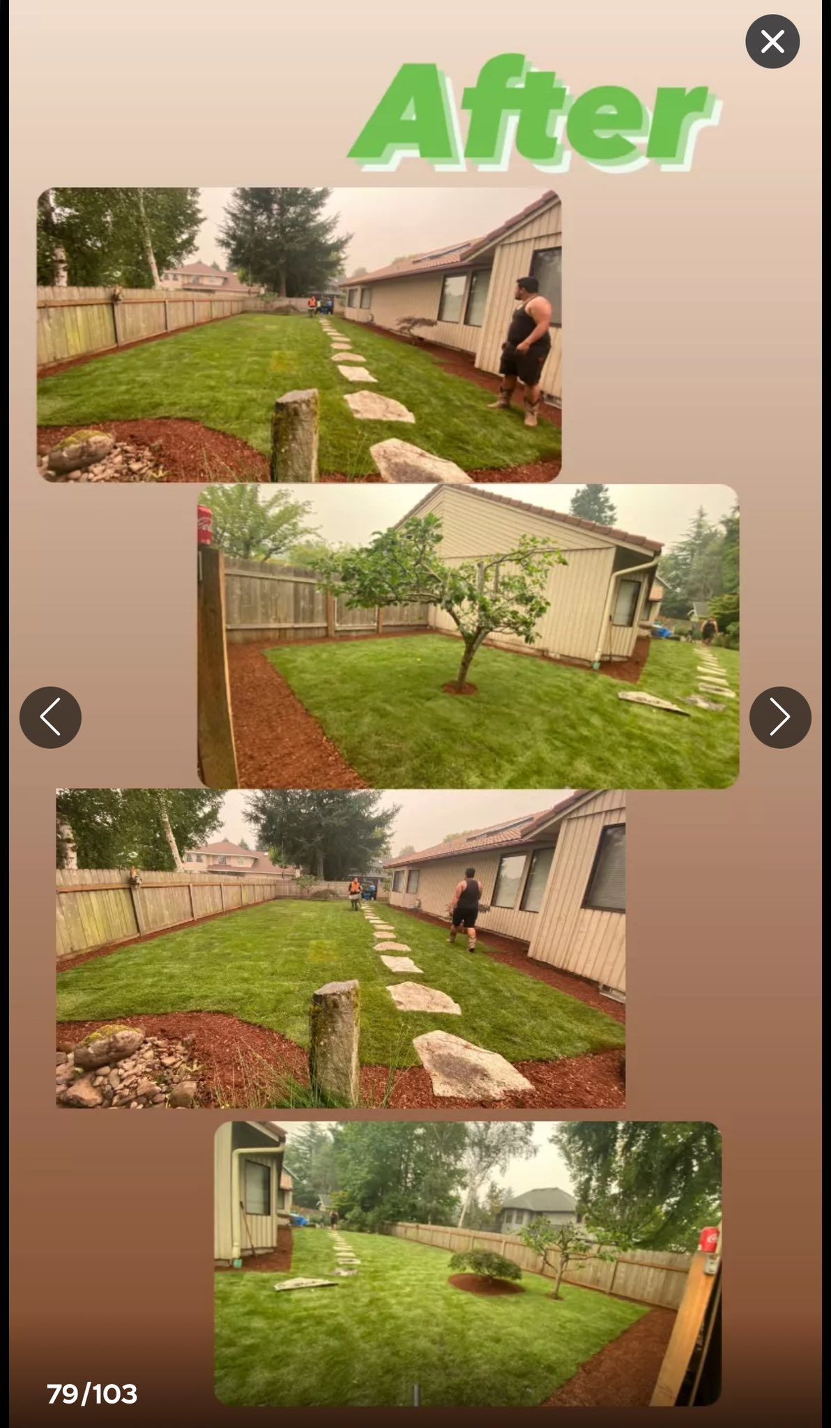 Tree Removal for T&S Tree Care LLC in Portland, OR