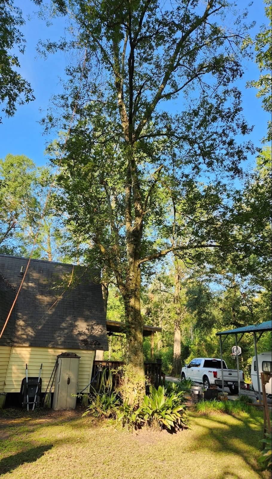  for Ken's Elite Cutters LLC  in Breaux Bridge, LA