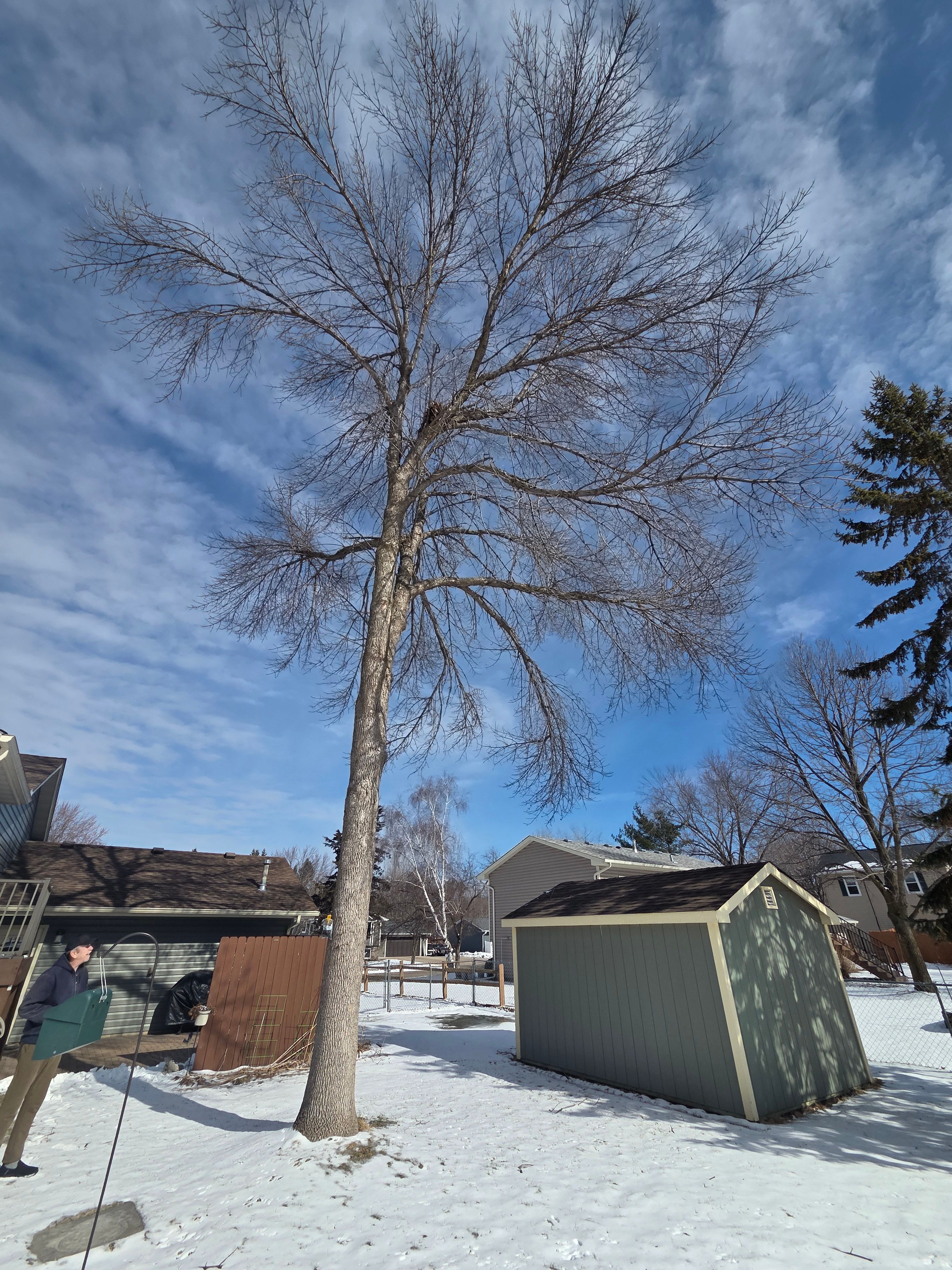 All Photos for K and Z Tree Care in Isanti County, MN