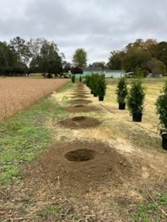  for Atlas Home Services in Mechanicsville, VA