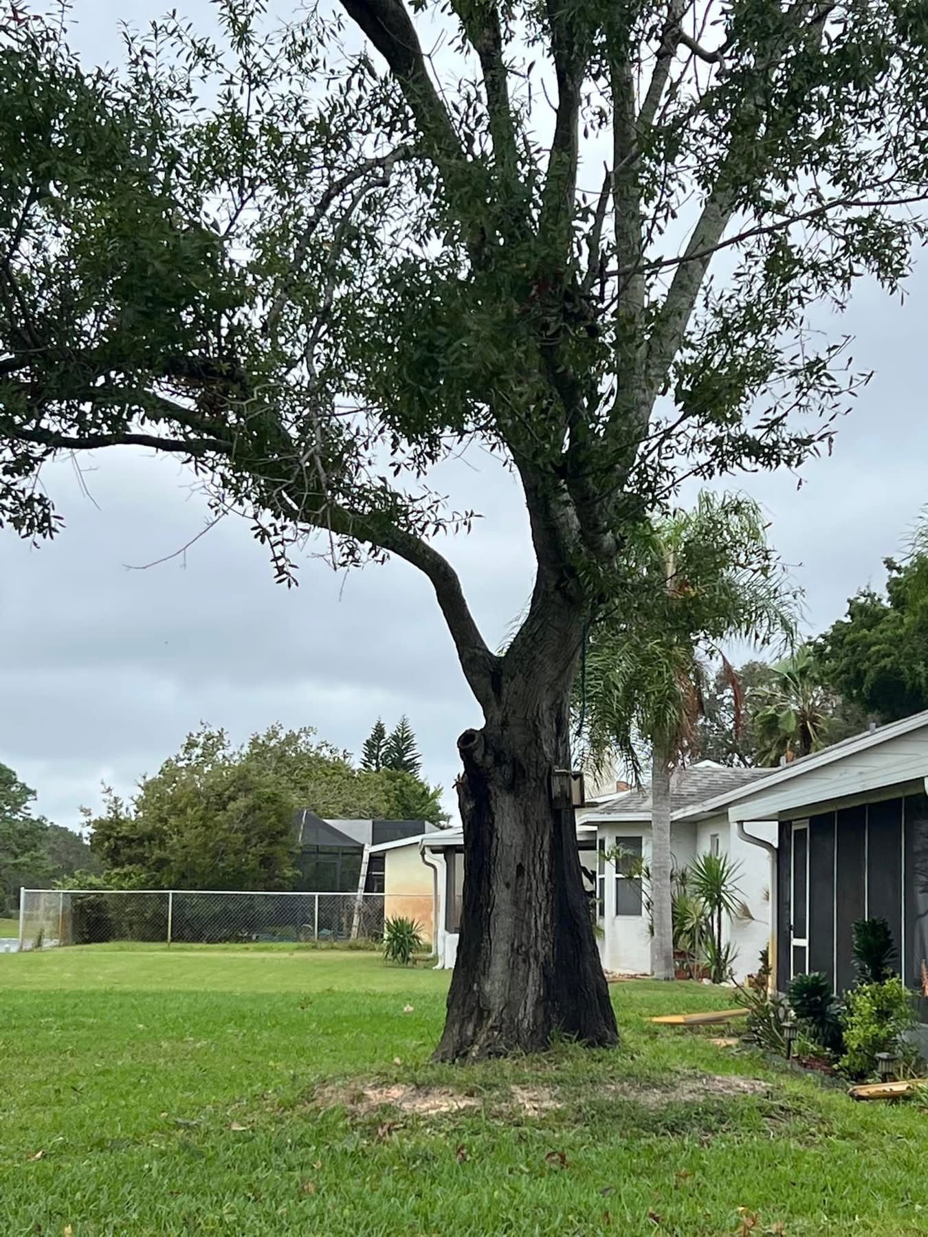  for Space Coast Property Maintenance and Management LLC in Melbourne, FL