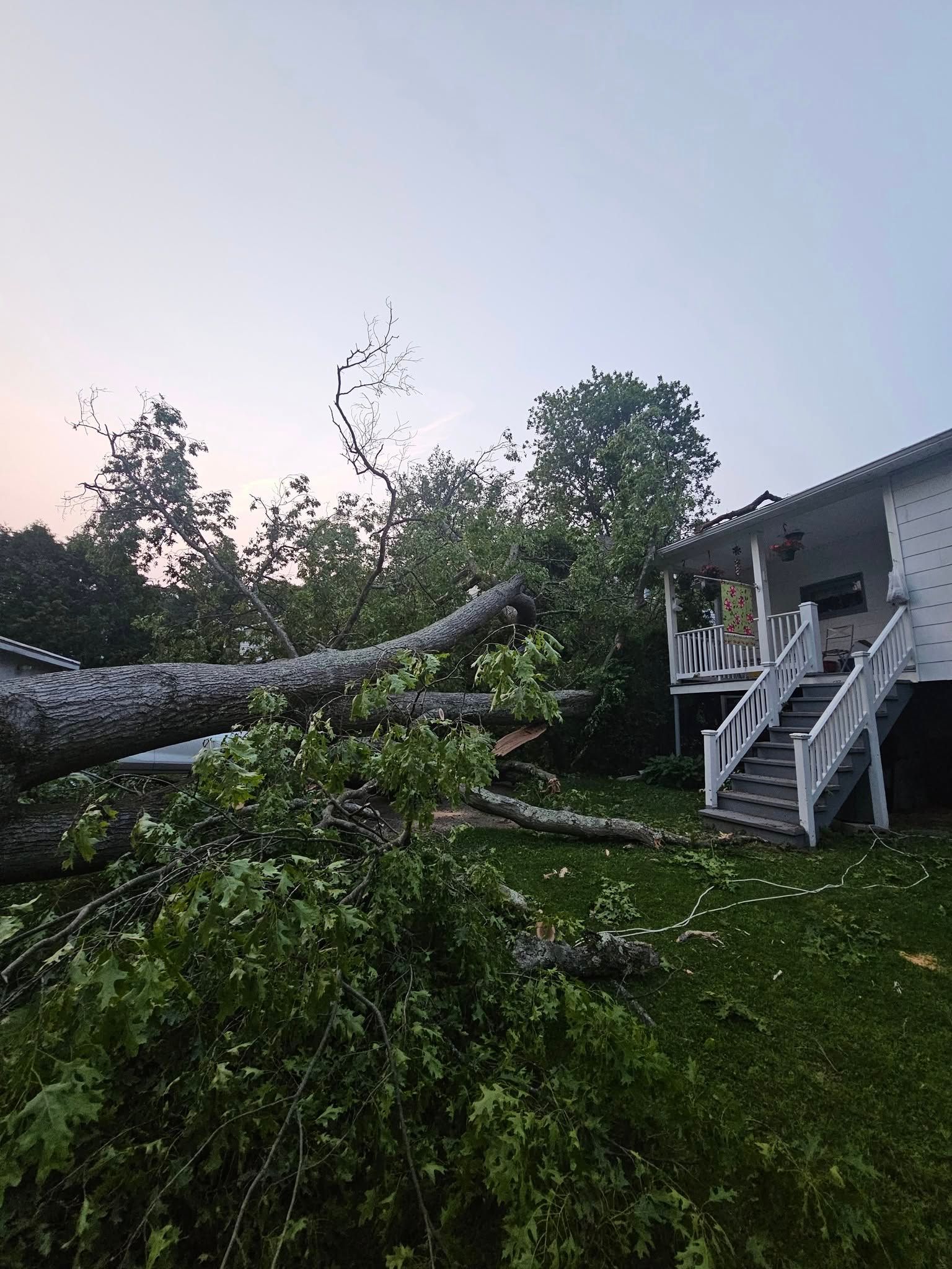  for AAA Tree Cutting in Shavertown, PA