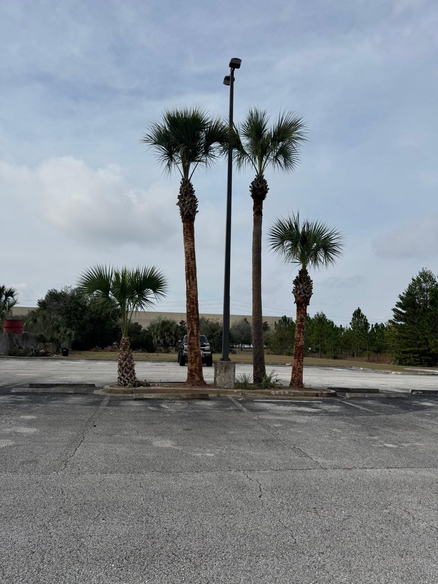 All Photos for Jacksonville Outdoors in Jacksonville, FL