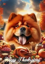  for Northstar Mechanical Services Inc in Charlotte, North Carolina