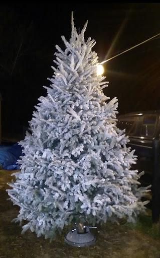 All Photos for BAM Another Pinestraw Lot in Flowery Branch, GA