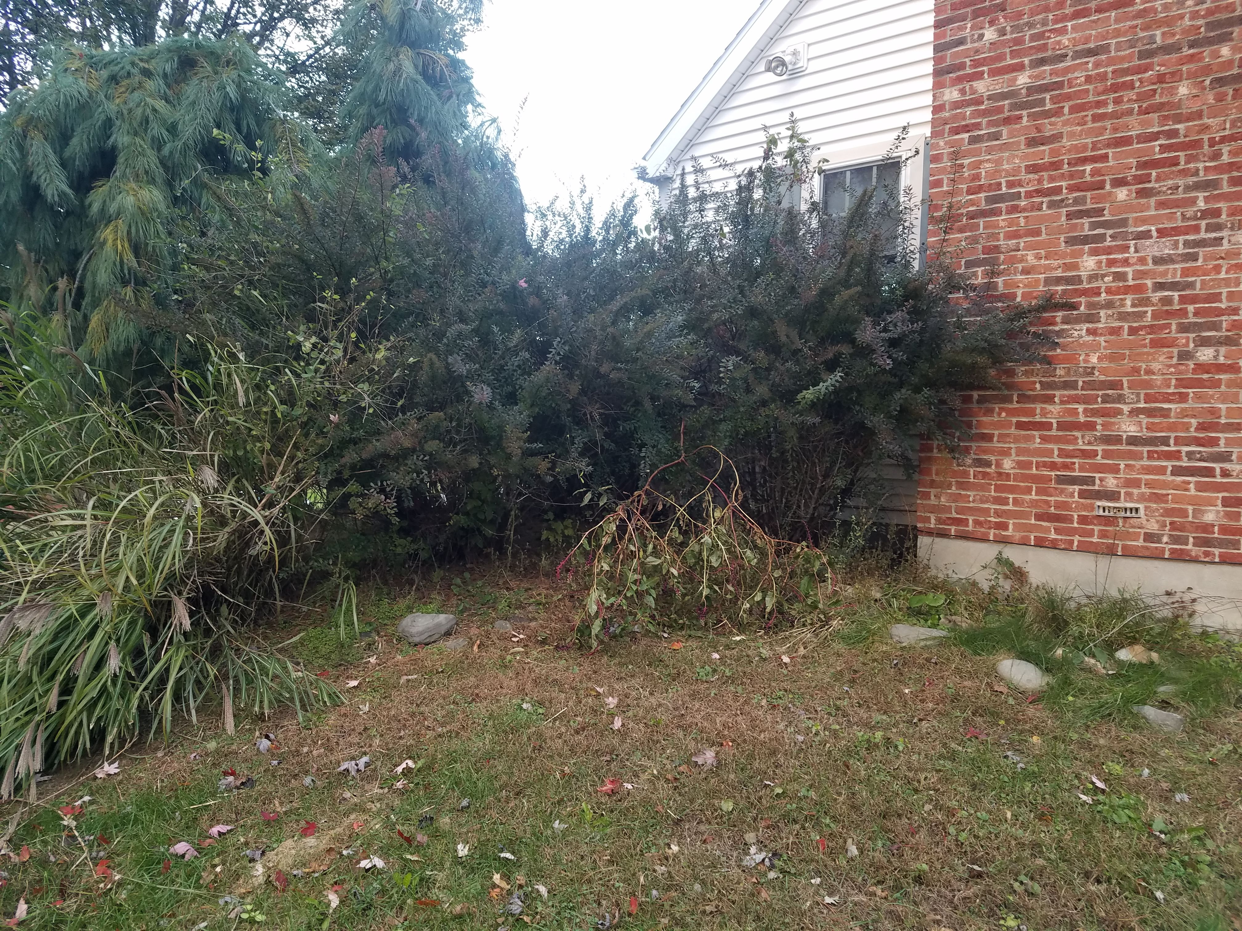  for Down Home Landscaping in Stillwater, PA